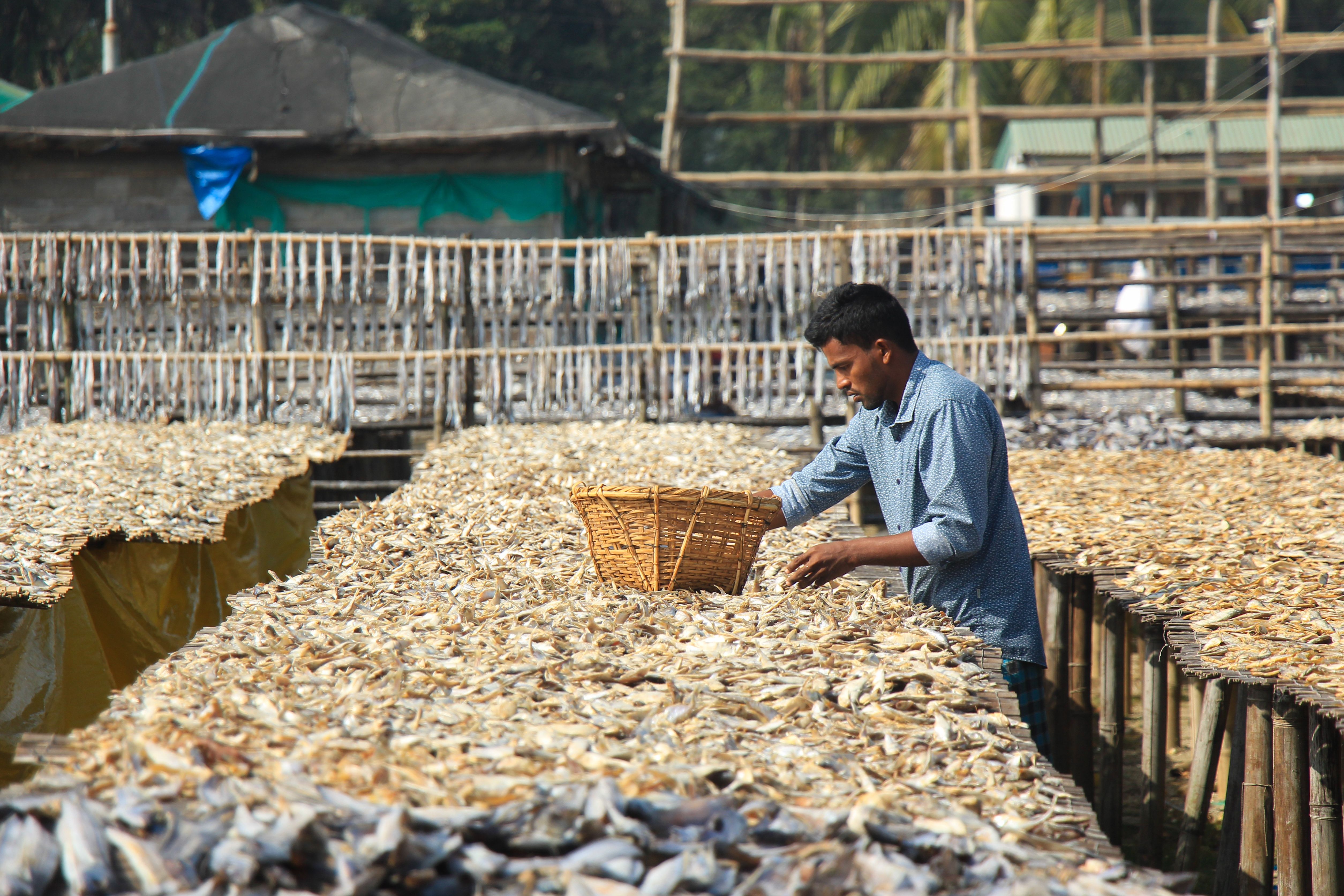 Fisheries