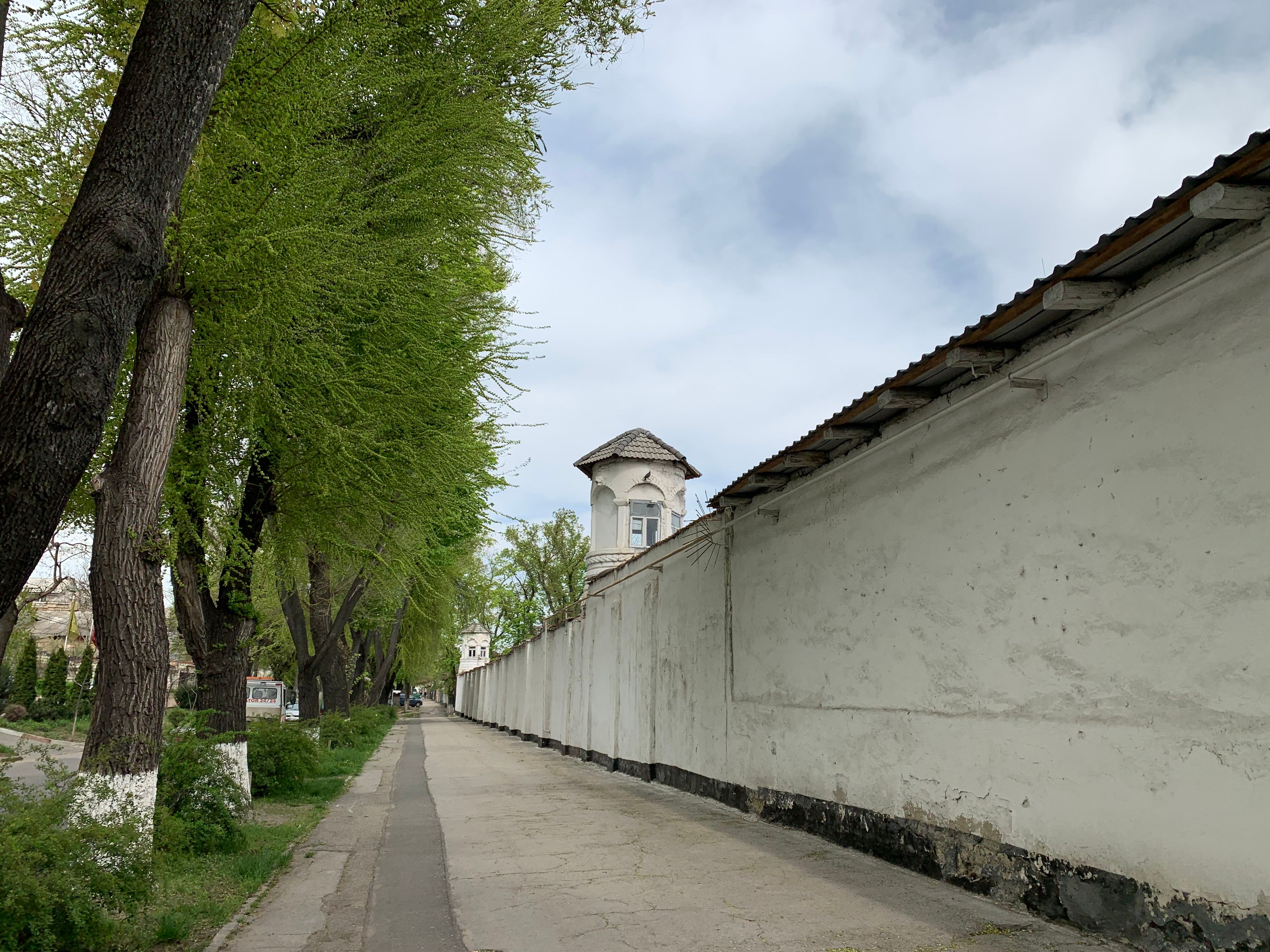Une rue tranquille de Moldavie, bordée d'arbres luxuriants, avec une tour historique sous un ciel lumineux.
