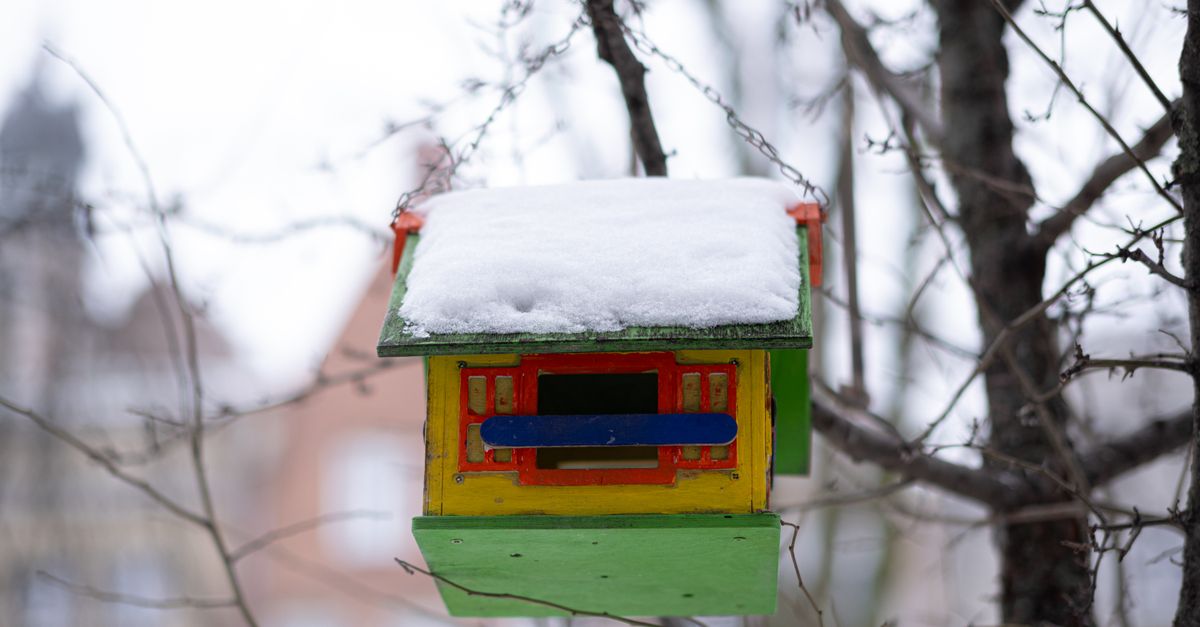 Fabriquer nichoirs : 15 modèles faciles DIY