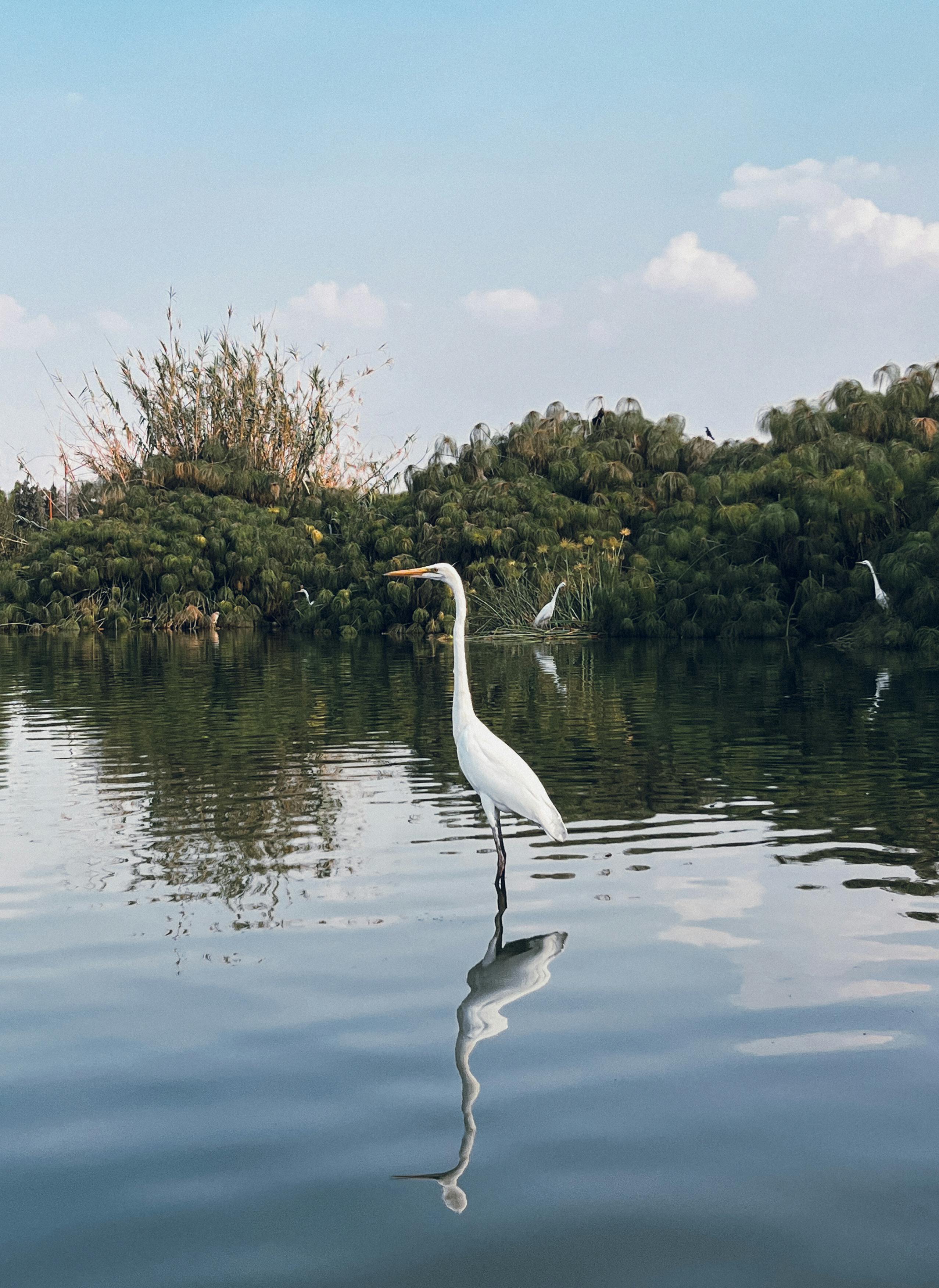 Komodo, aktivitas wisata