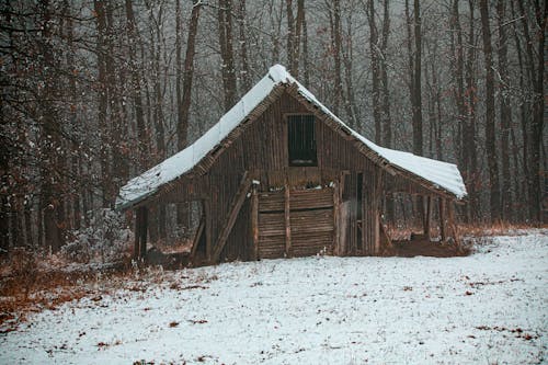 Free Old House in the Woods Stock Photo