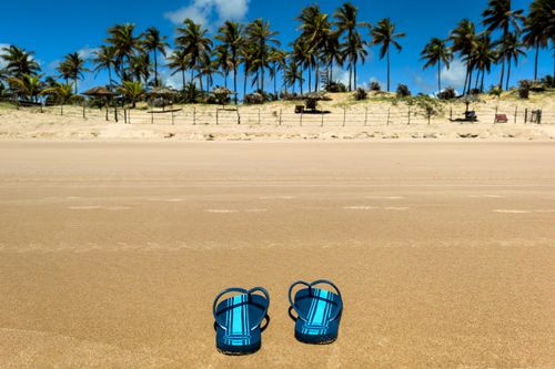 Free Blue sandals on a sandy beach with palm trees in the background under a clear sky. Stock Photo
