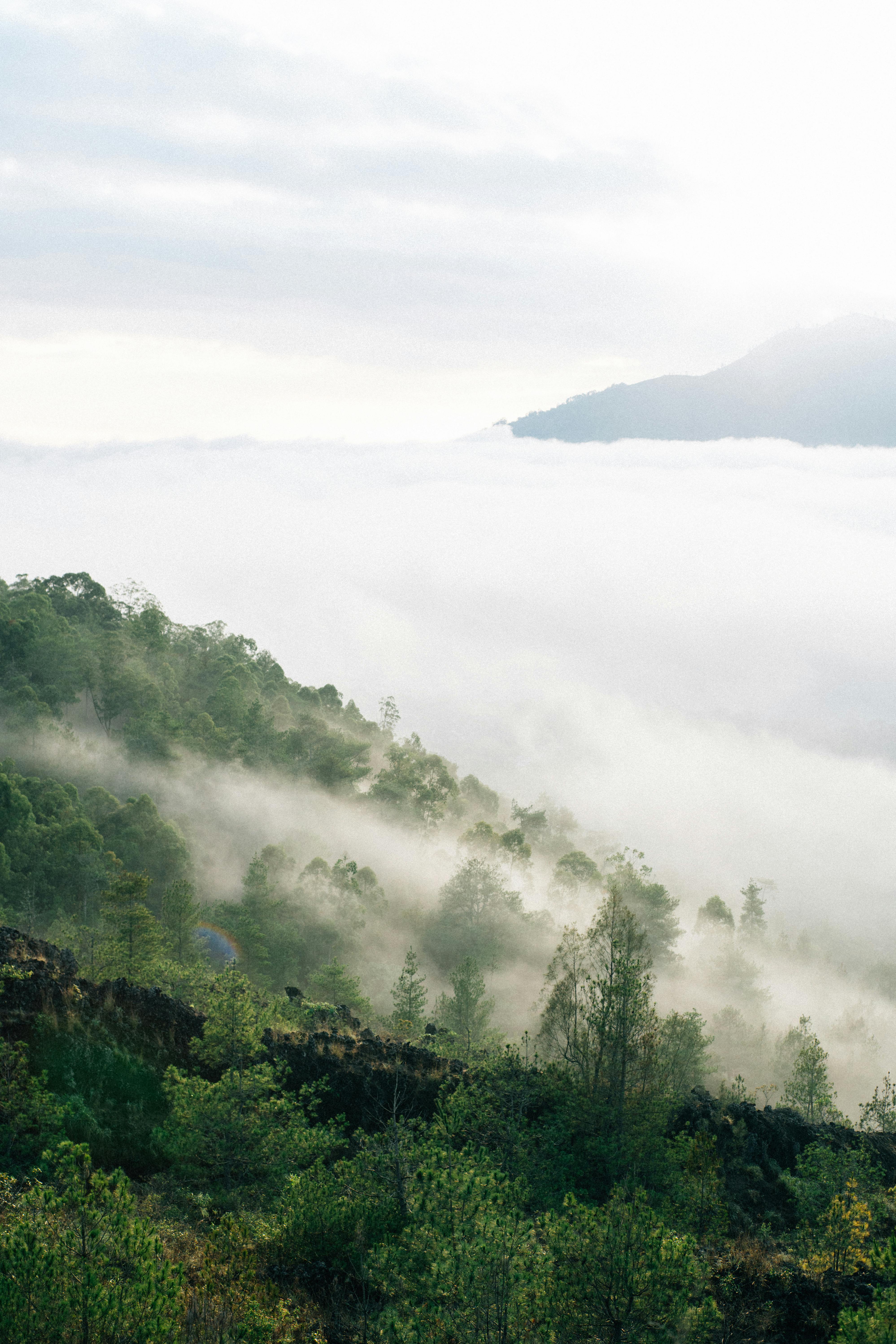 云雾山景美丽，森林茂密，营造出一种宁静的氛围