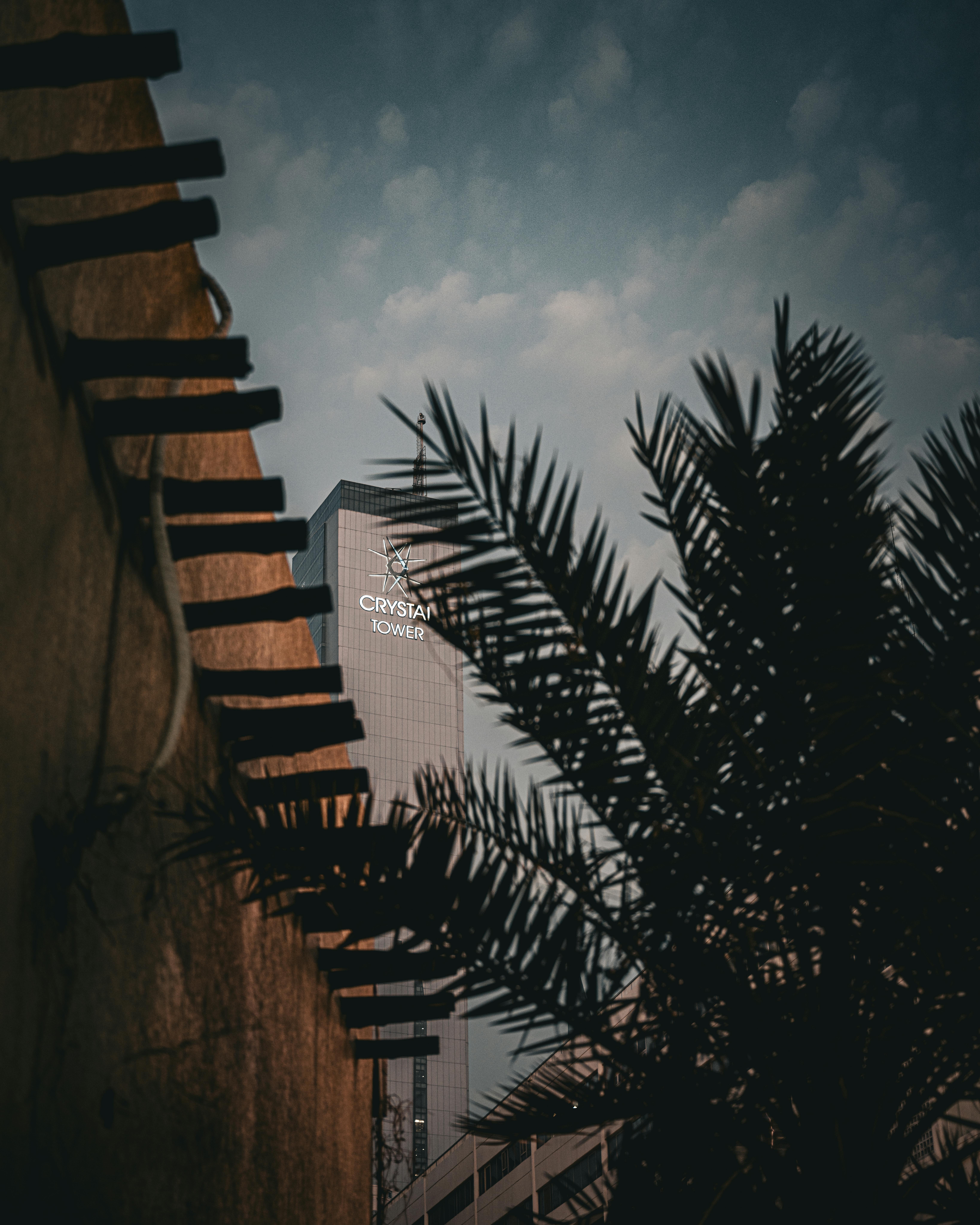 Gratis En utsikt over Krystalltårnet i Kuwait by innrammet av arkitektur og palmeblader i skumringen. Arkivbilde