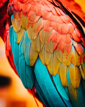 Detailed close-up of a parrot's colorful plumage showcasing vibrant feather patterns.