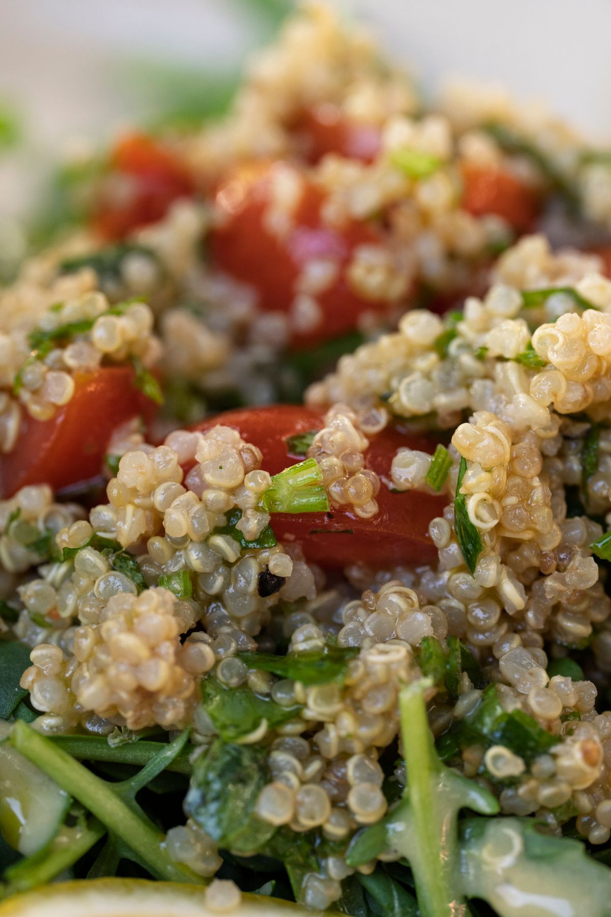 Ensalada de quinoa con verduras