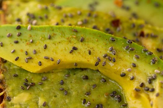 Fat Added Cactus