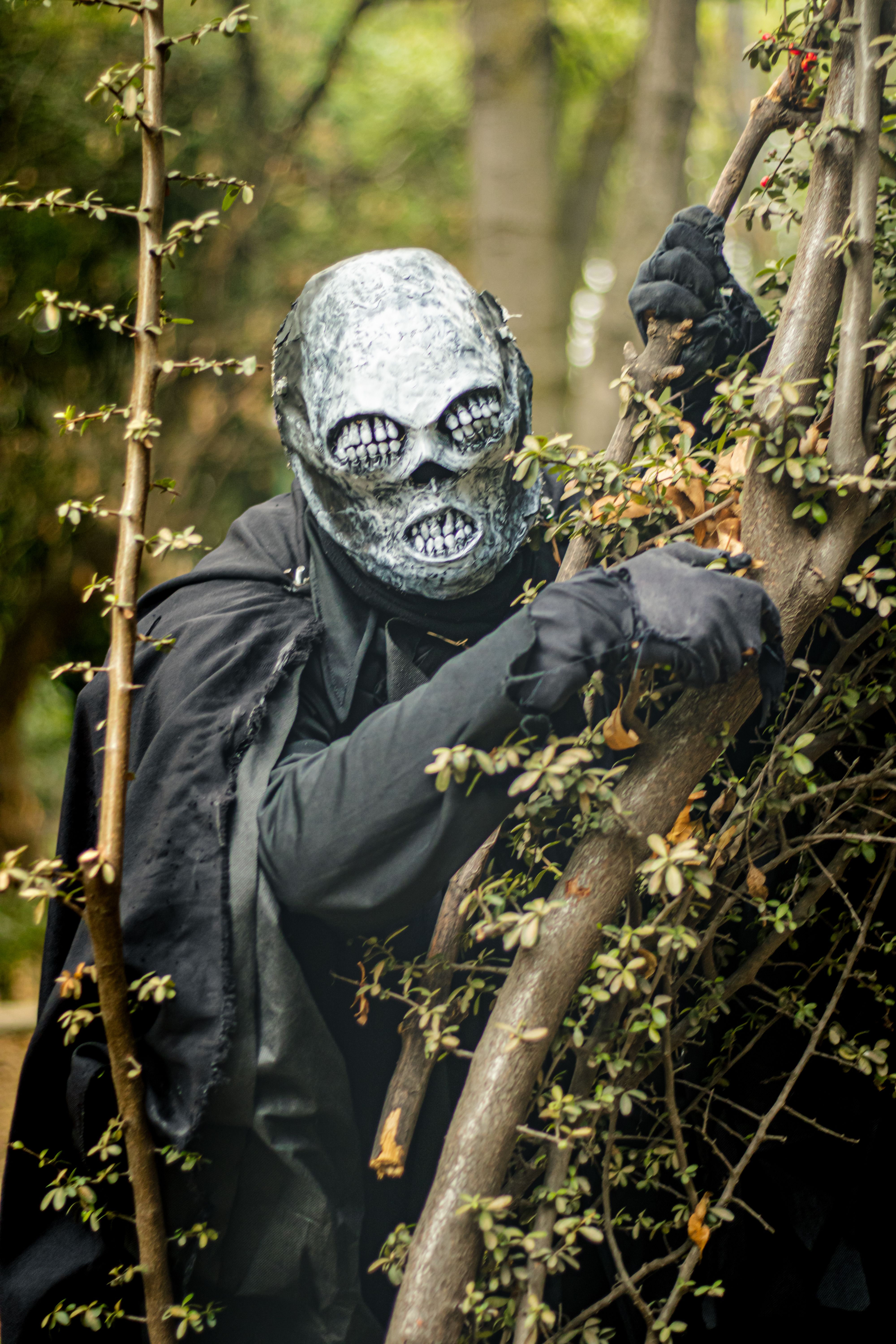 A person in monster cosplay costume amidst trees evokes a mysterious fantasy theme.