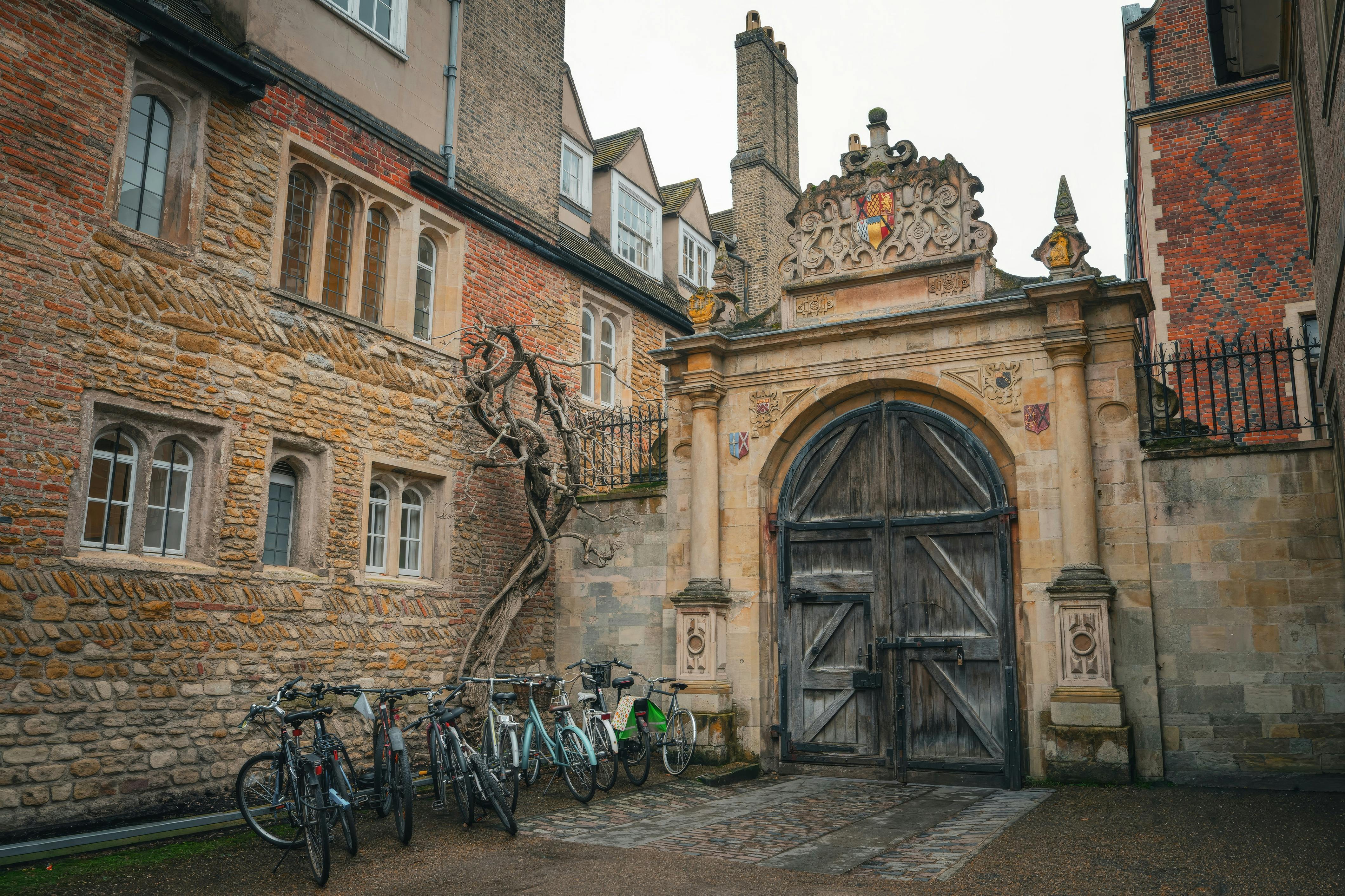 ingyenes Régi kőépület parkoló biciklikkel, fa kapuval és díszes építészettel. Stockfotó