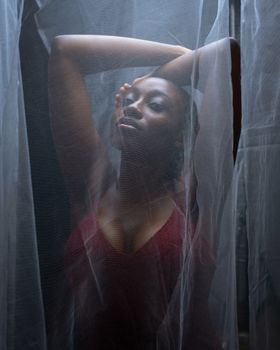 Artistic portrait of a woman posing behind ethereal fabric, adding mystery and elegance.
