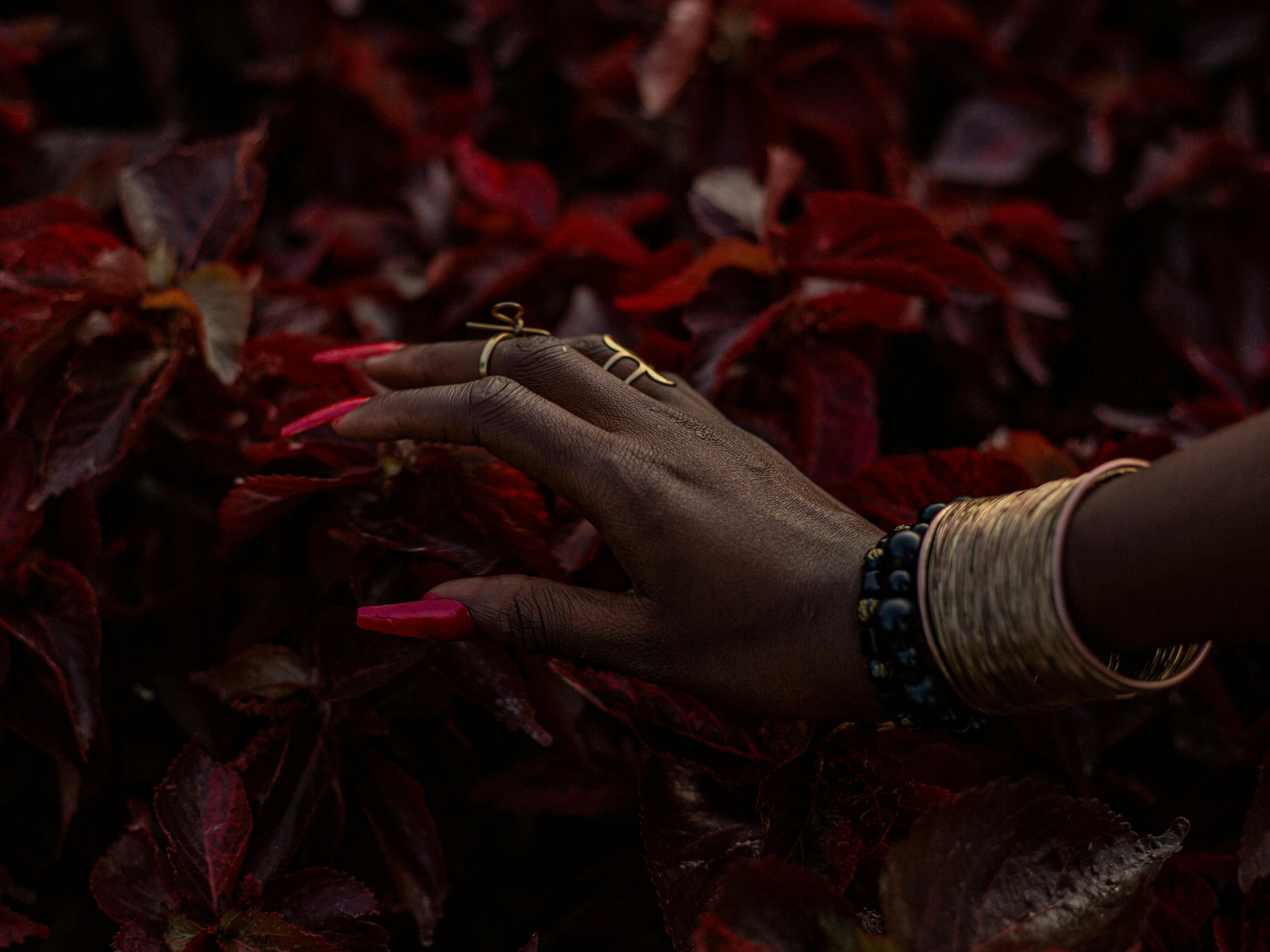 Gratis Primo piano di una mano adornata con gioielli e braccialetti che sfiora delicatamente il fogliame rosso acceso, creando una scena ricca di atmosfera. Foto a disposizione