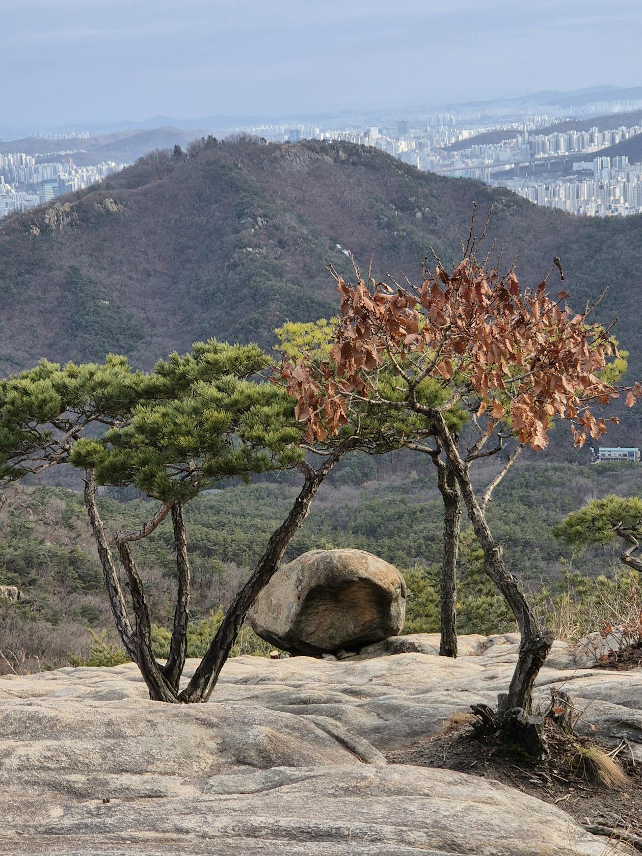 Scenic mountain landscape view in South Korea with lush green forests and misty peaks