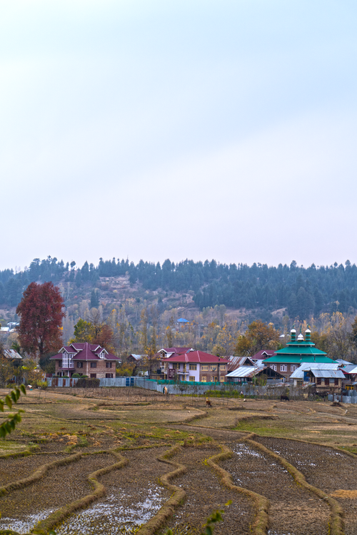 Free Picturesque village with autumn trees and fields against a forested backdrop. Stock Photo