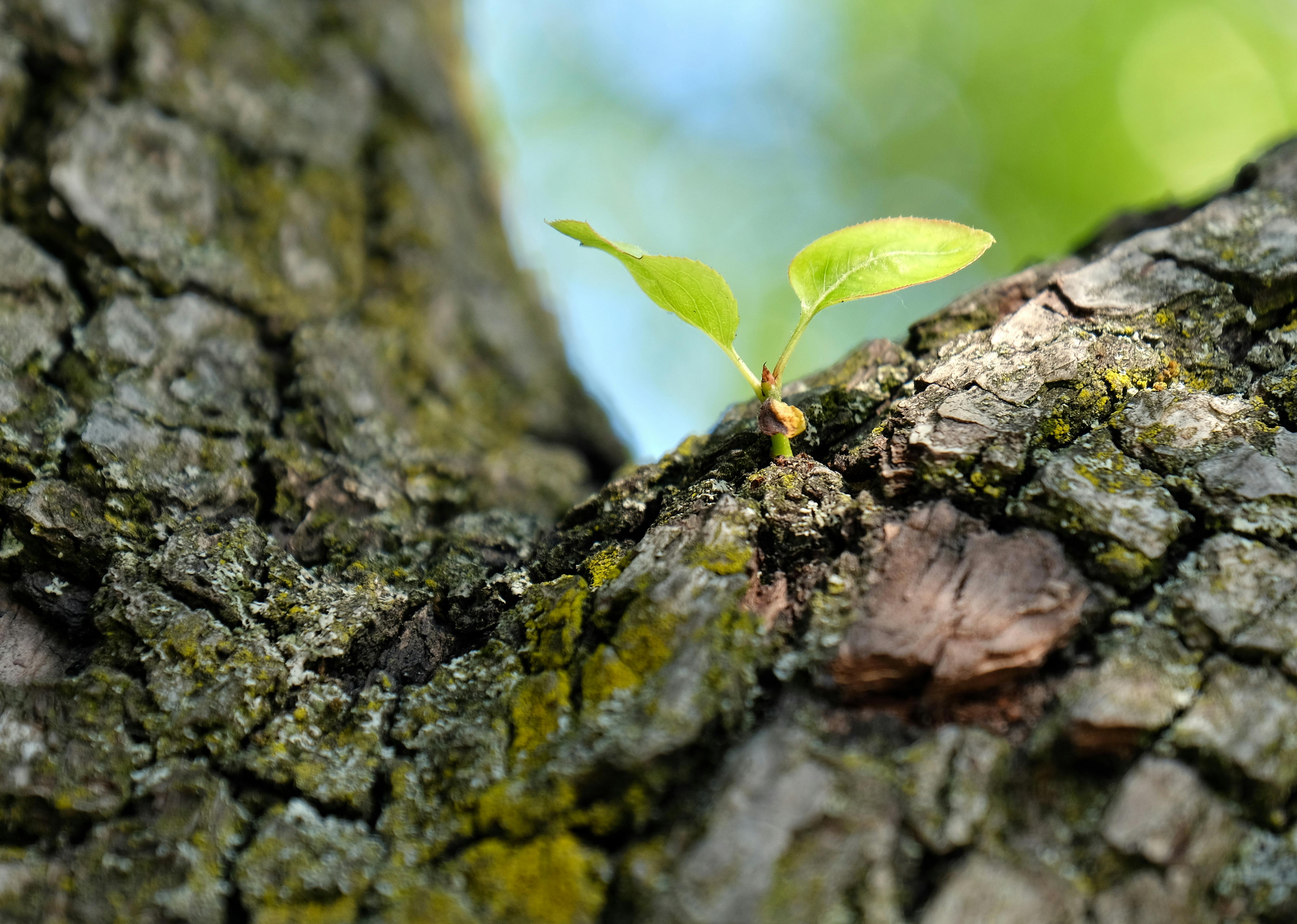 growth hacking — Photo by wal_ 172619 on Pexels
