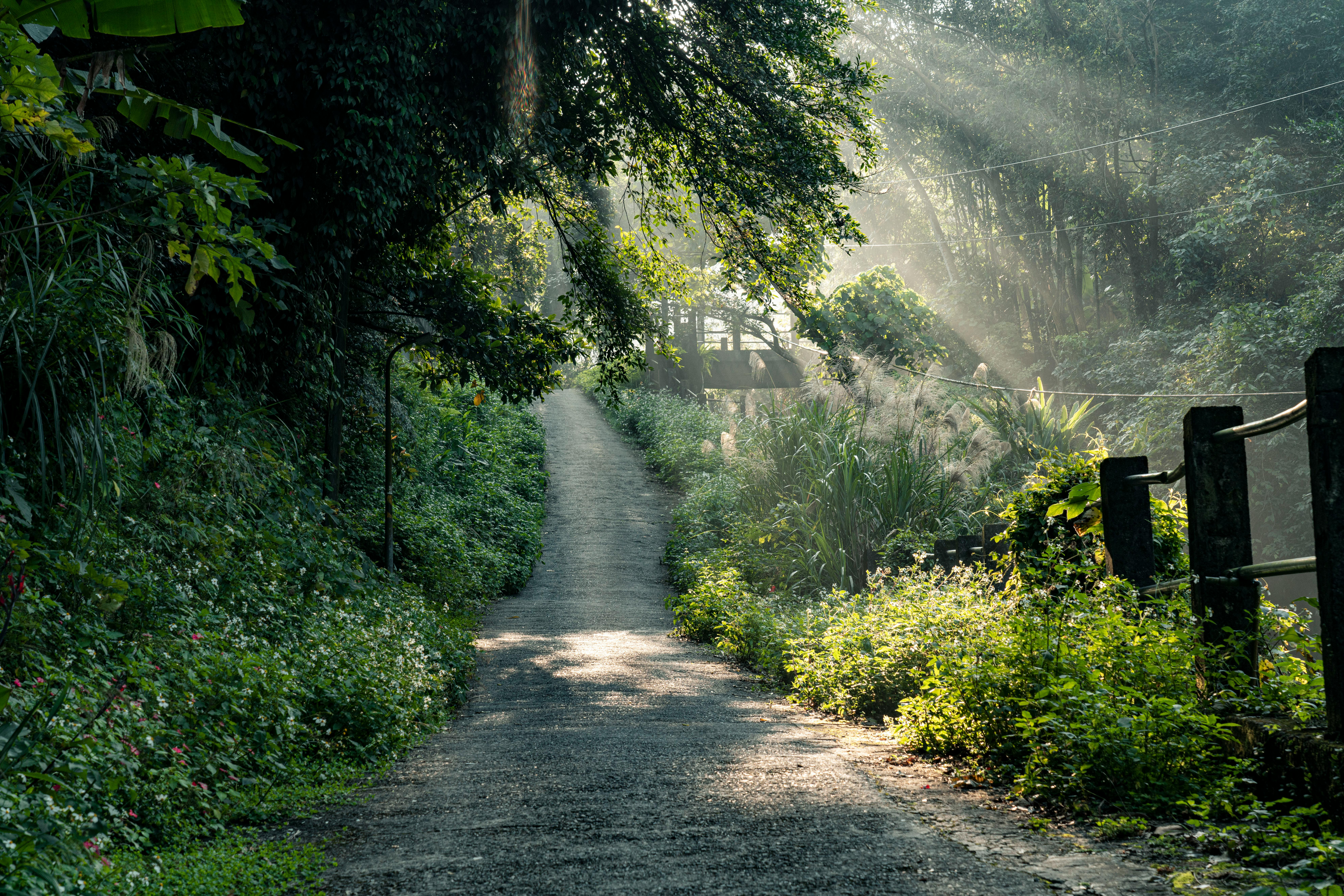 政治：徐欣瑩誓言守護新竹縣藍天，3大基層發展策略揭密