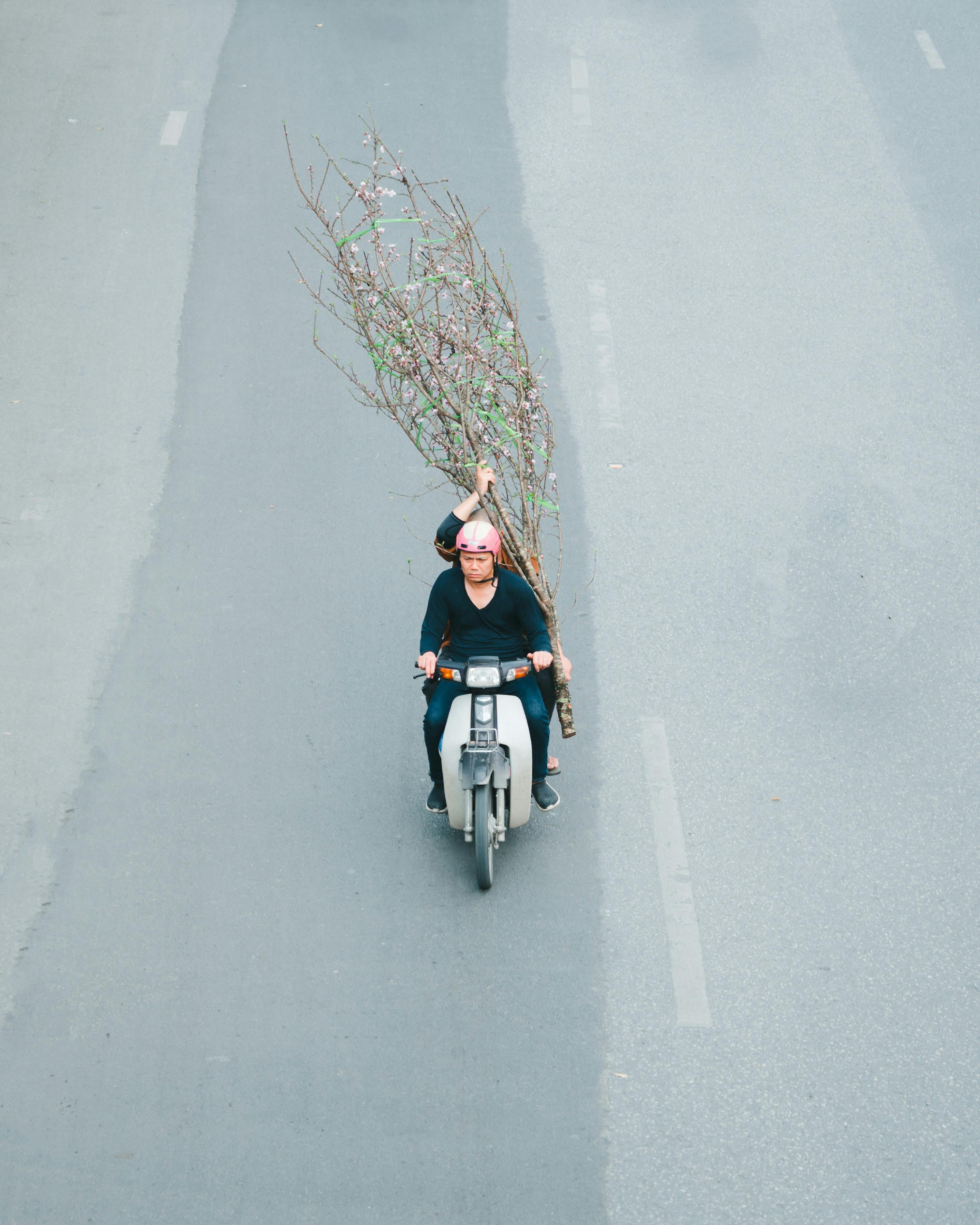 Gratis Vista dall'alto di persone su uno scooter che trasportano un grande ramo fiorito su una strada cittadina. Foto a disposizione