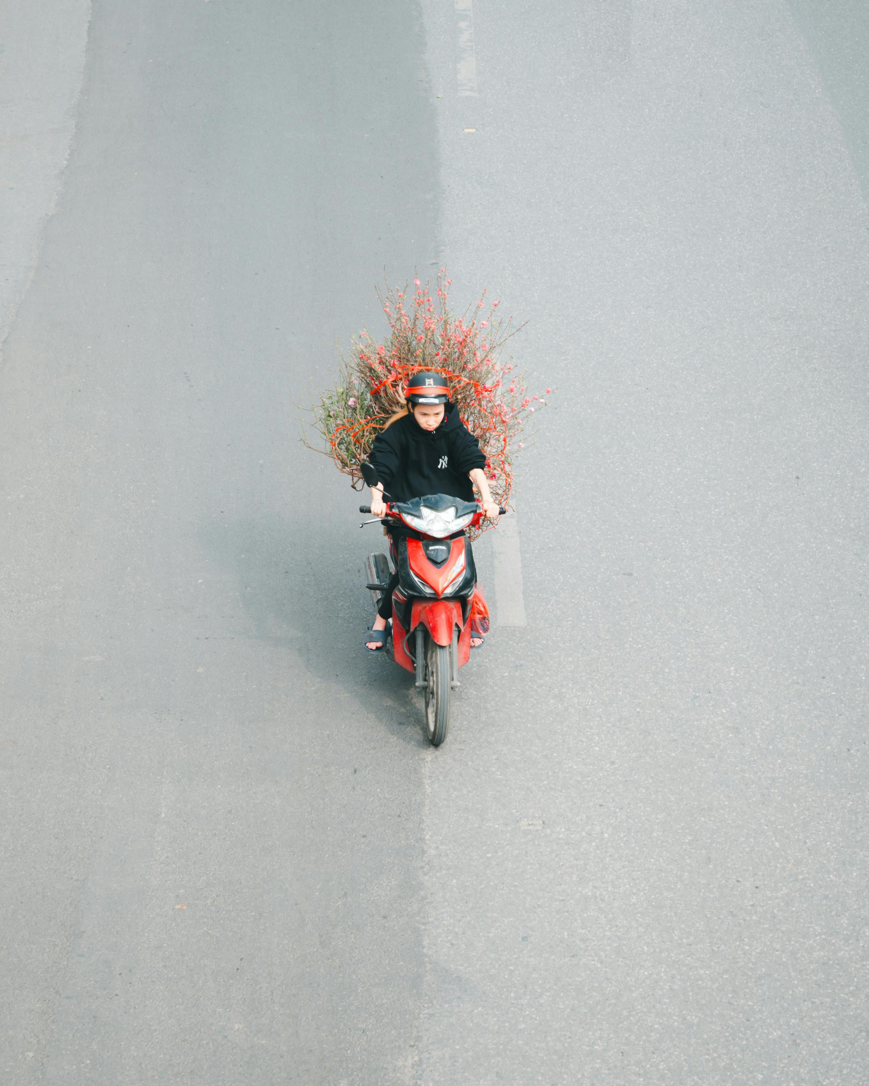 ฟรี ชายคนหนึ่งขี่สกูตเตอร์สีแดงโดยถือช่อดอกไม้ขนาดใหญ่ไว้บนรถ บนถนนที่ว่างเปล่า คลังภาพถ่าย