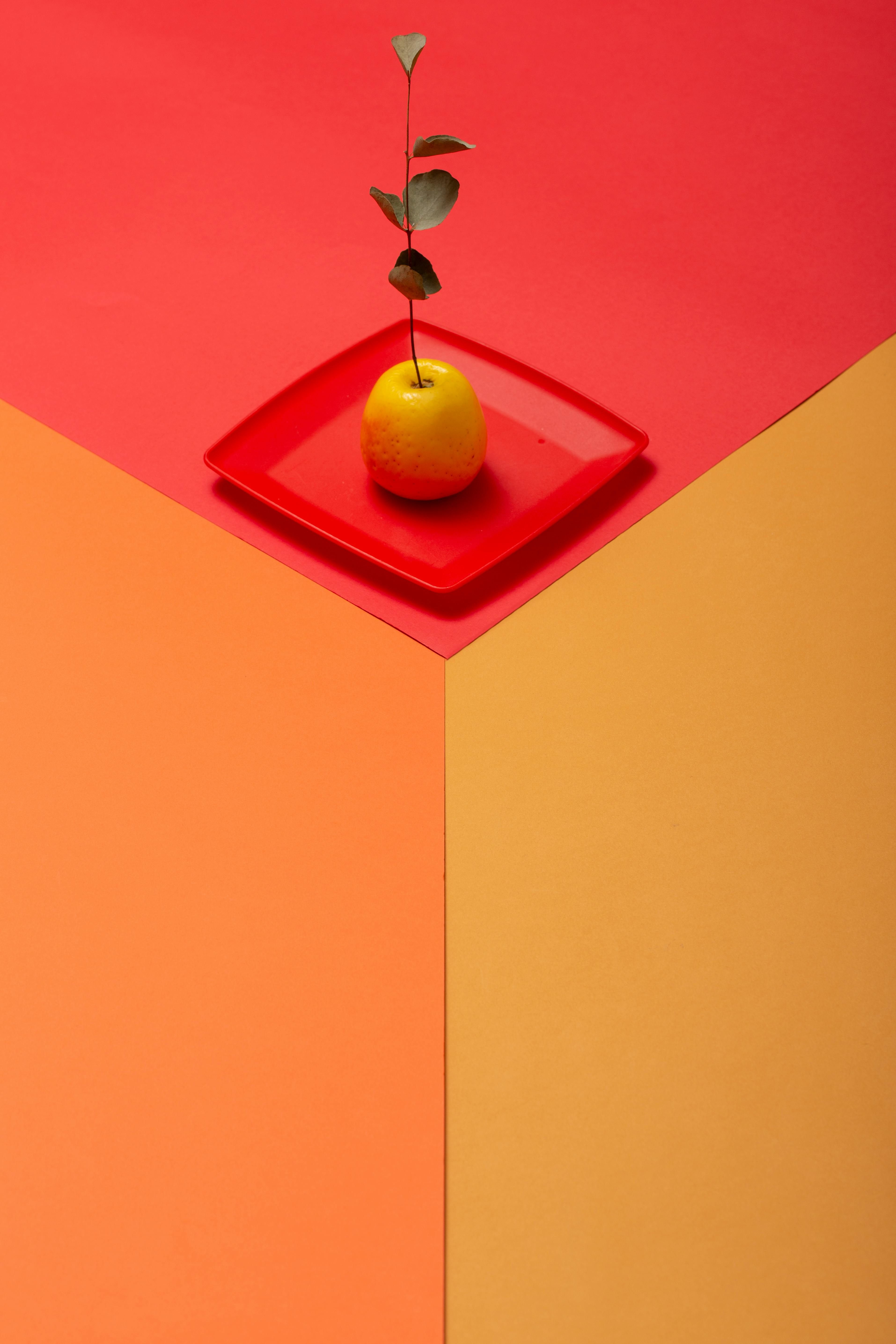 Free Minimalist composition of a red apple on a red plate with colorful geometric background. Stock Photo