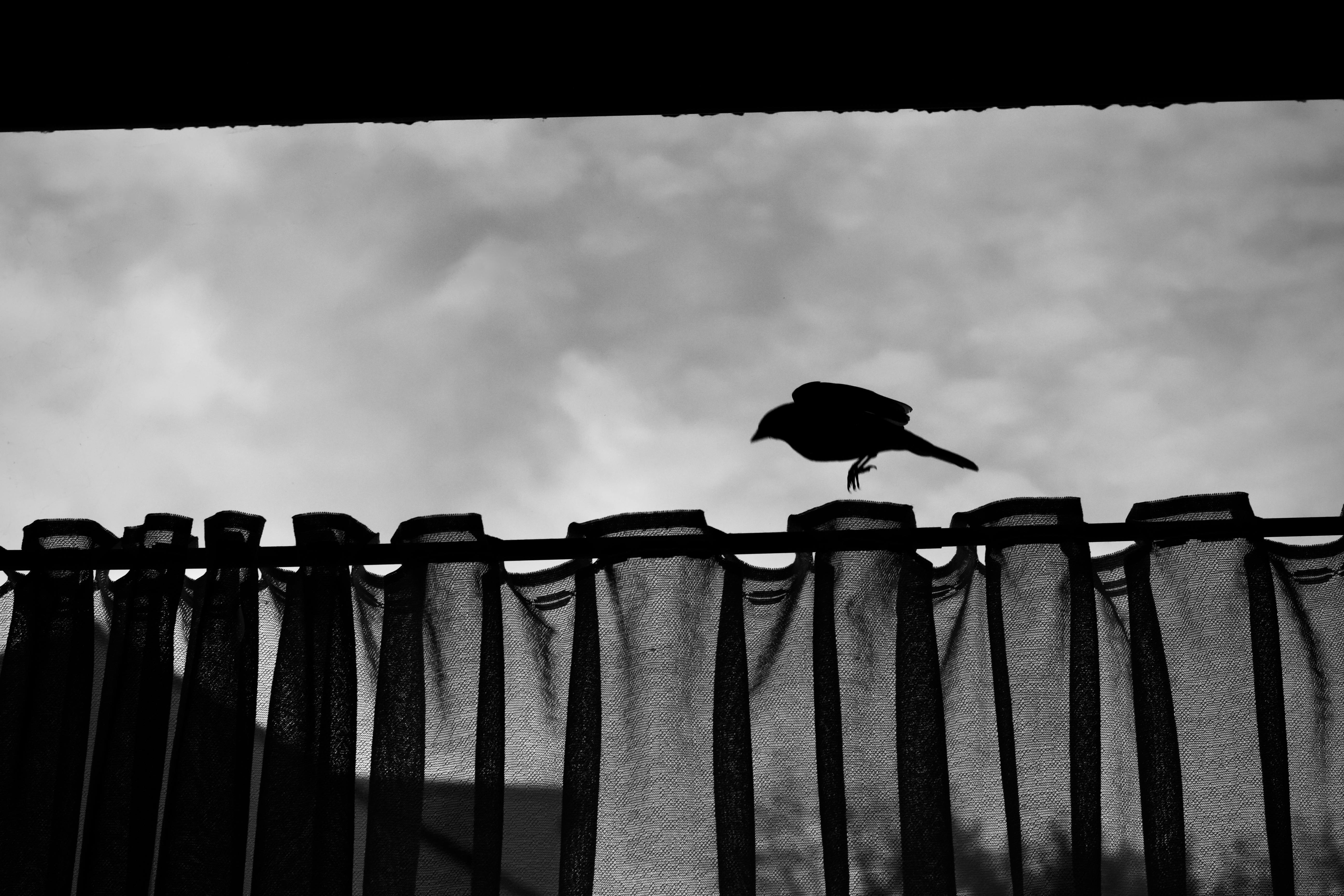 Netflix frena la compra de Warner Bros. por disciplina financiera y presión accionistas tras Trump