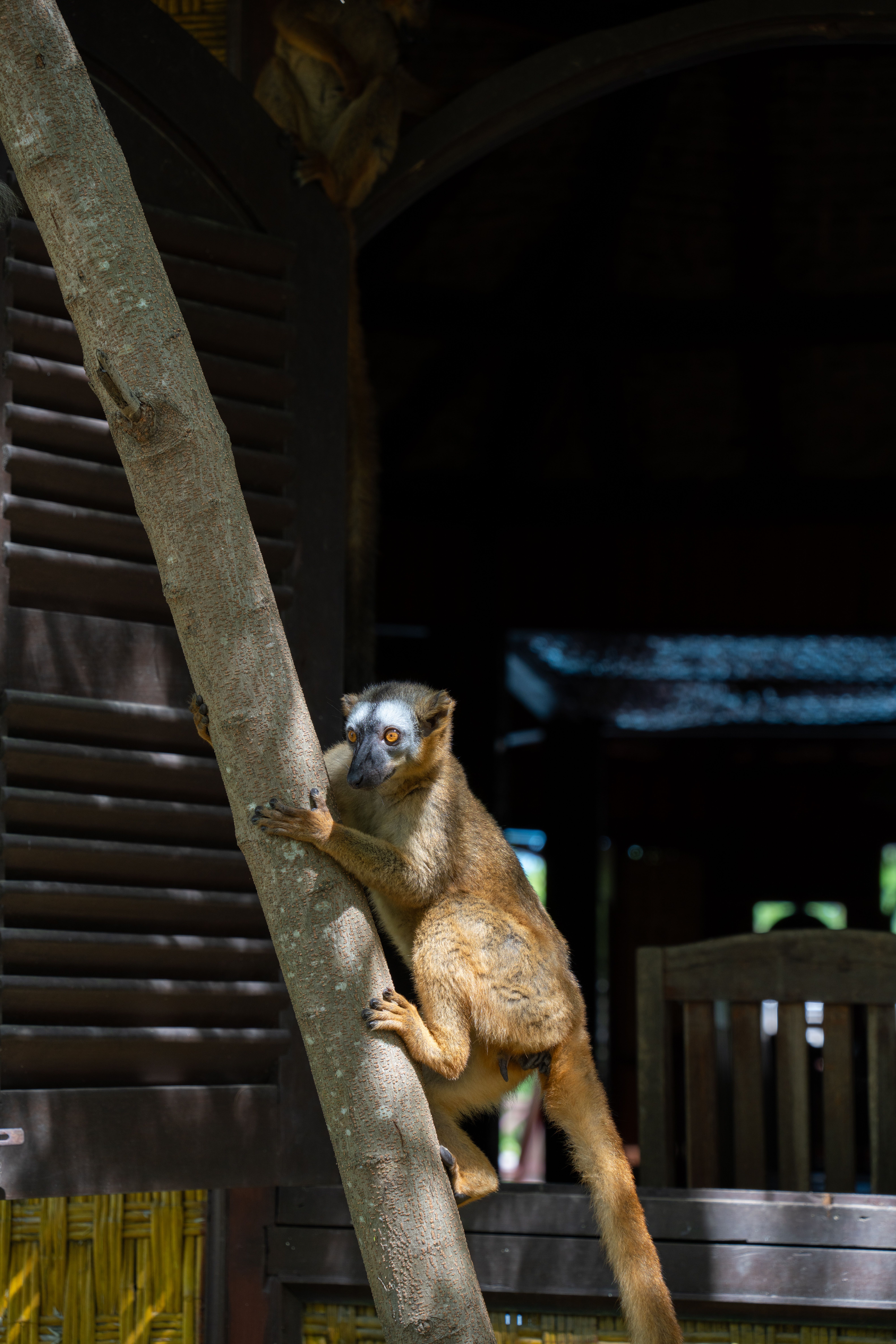Madagascar — paysage de voyage Amanéa