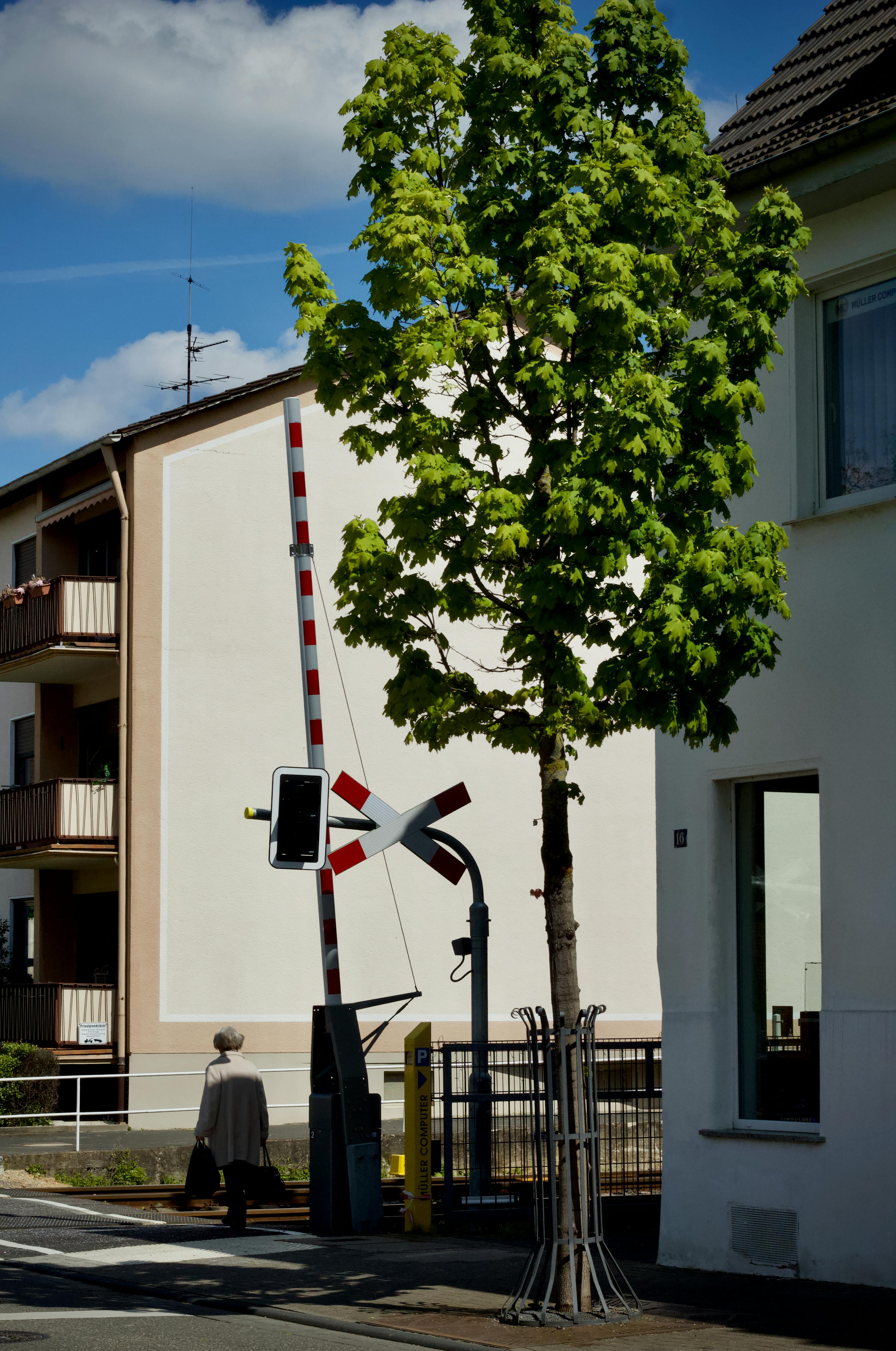 Gratis Una escena de vecindario tranquilo con un semáforo, un árbol y edificios residenciales. Foto de stock