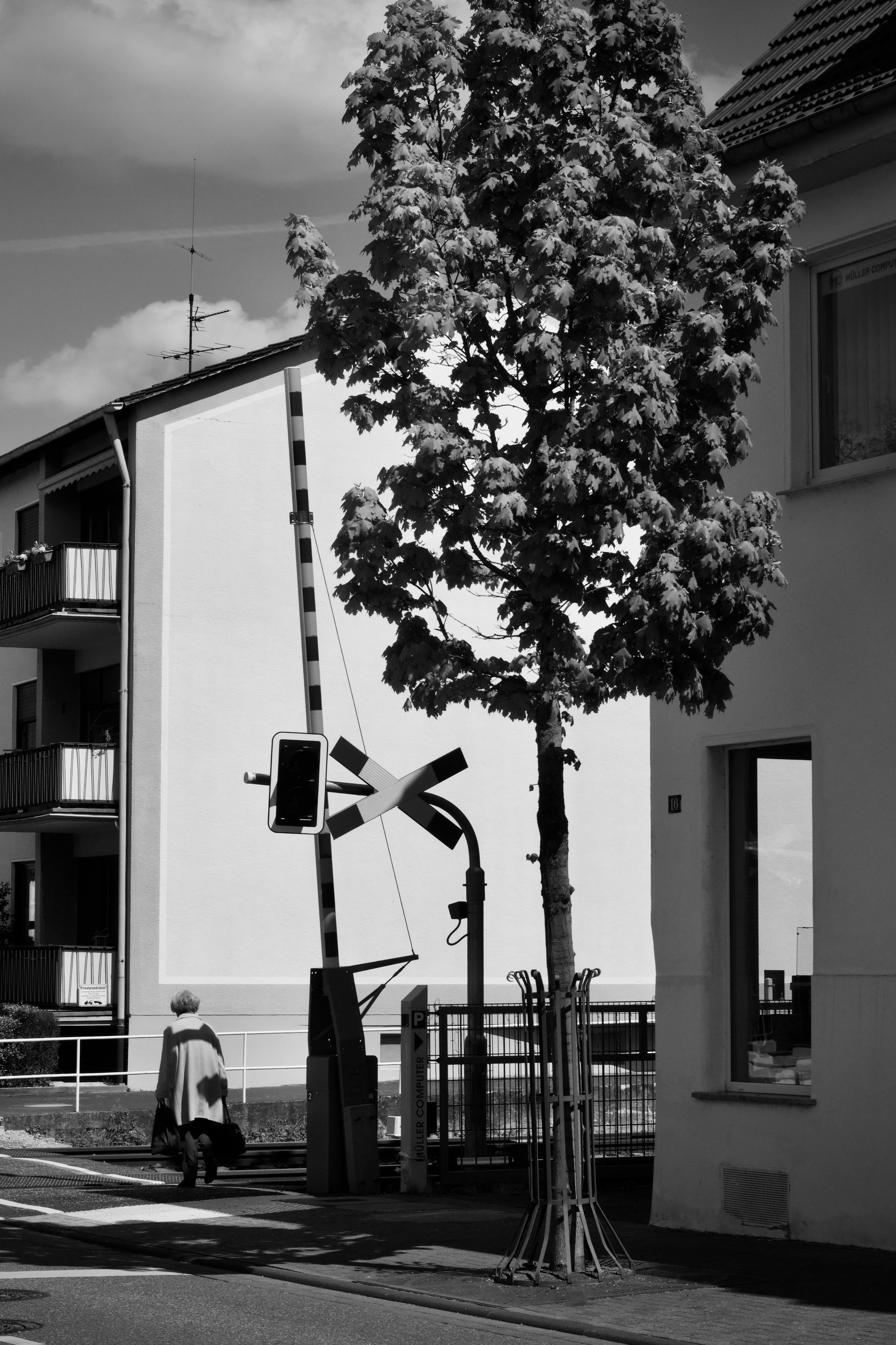 Gratis stockfoto met @buitenshuis, alledaagse leven, alleen Stockfoto