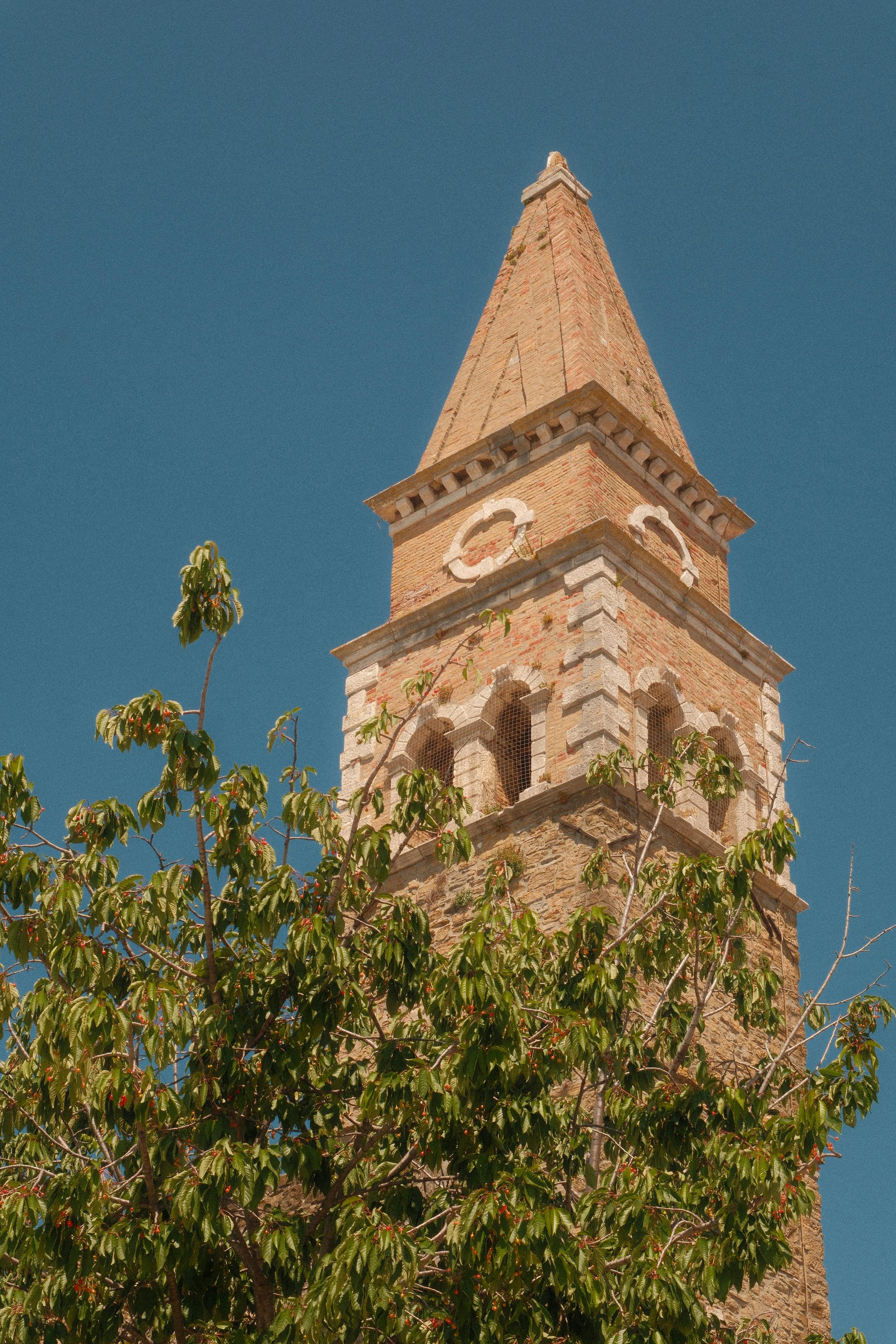Miễn phí Một tòa tháp gạch cổ kính sừng sững giữa bầu trời xanh trong vắt, bị che khuất một phần bởi tán lá xanh tươi. Ảnh lưu trữ