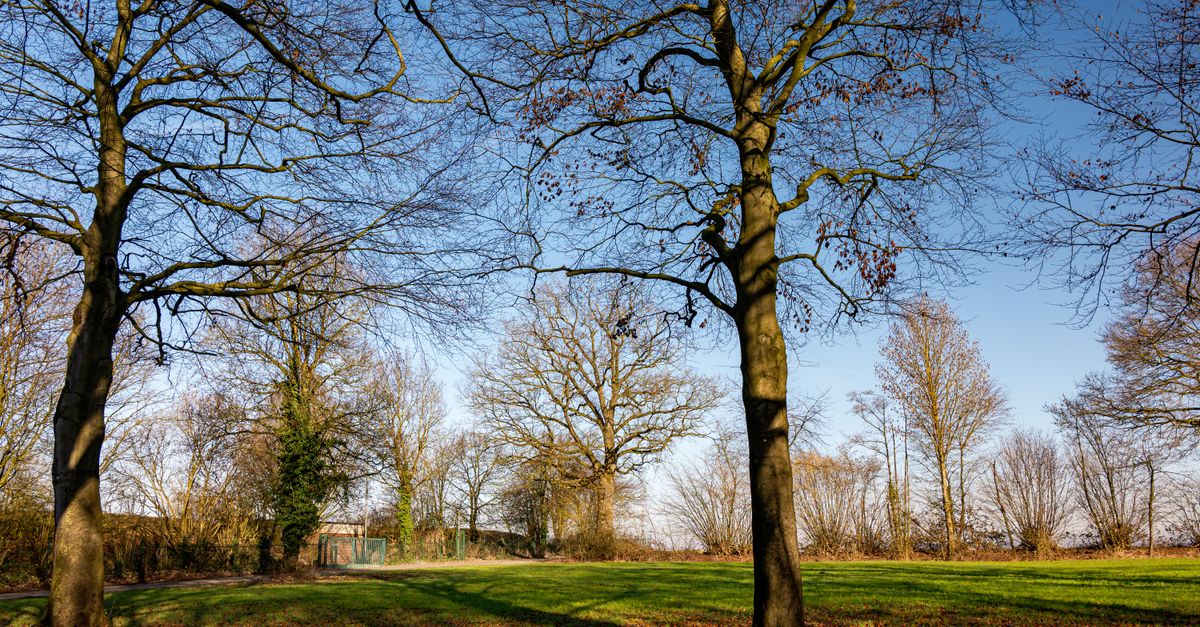 Nord Pas de Calais : Guide Complet Région