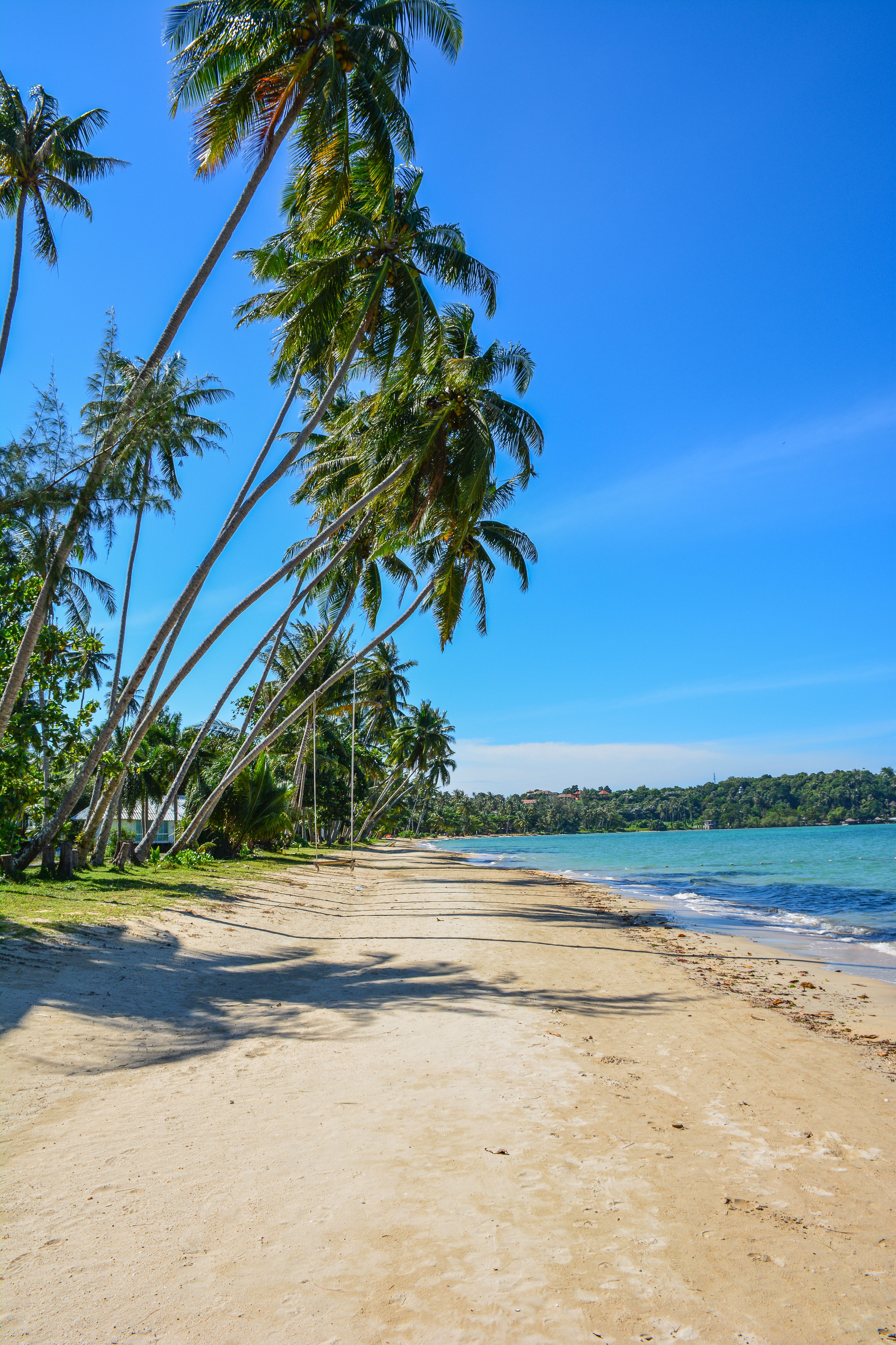 An idyllic Gulf of Thailand beach with leaning palm trees, evocative of Phetchaburi's Cha-am coastline