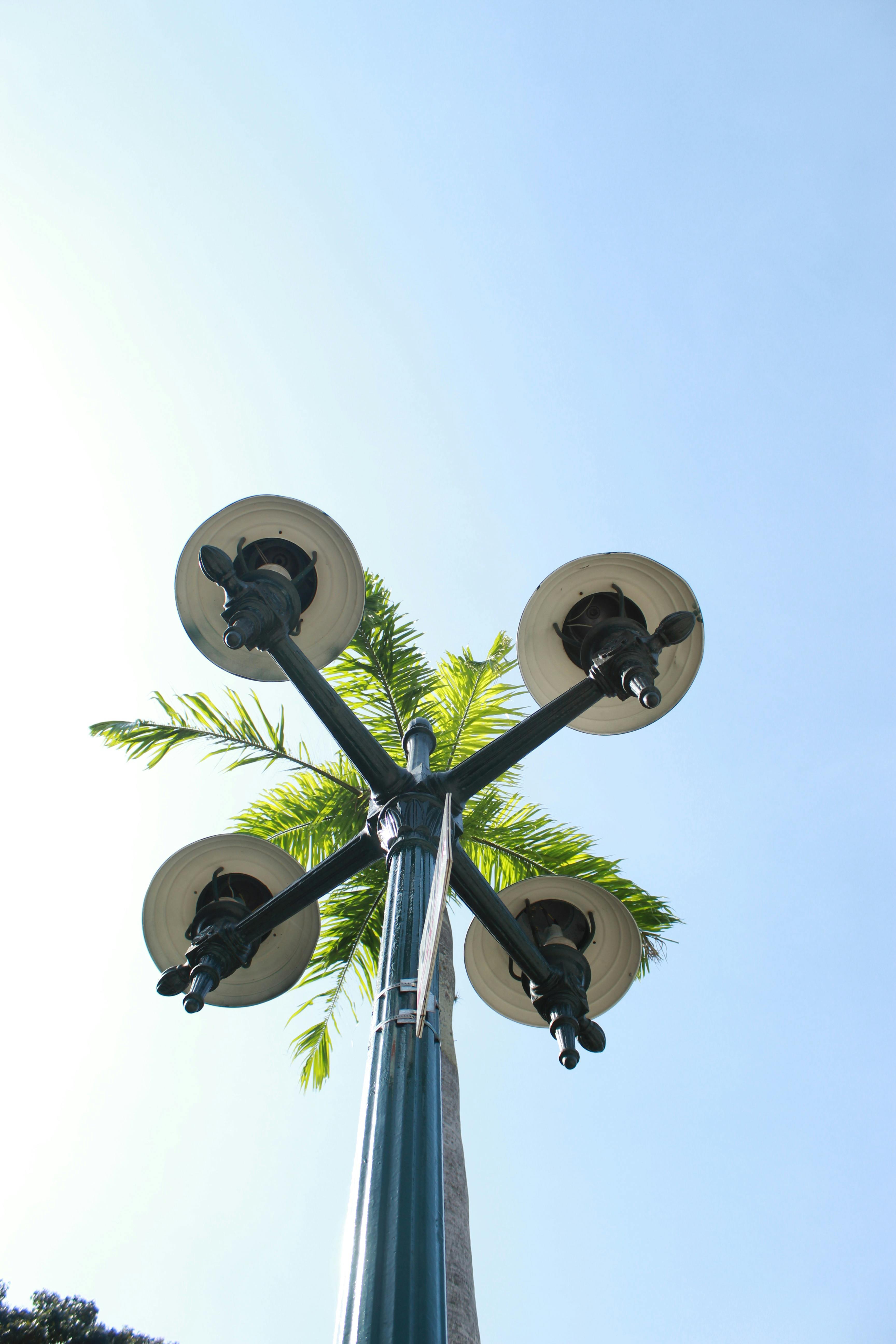 Bezpłatne Widok z góry na zabytkową latarnię uliczną na tle czystego nieba z liśćmi palmowymi. Zdjęcie z galerii