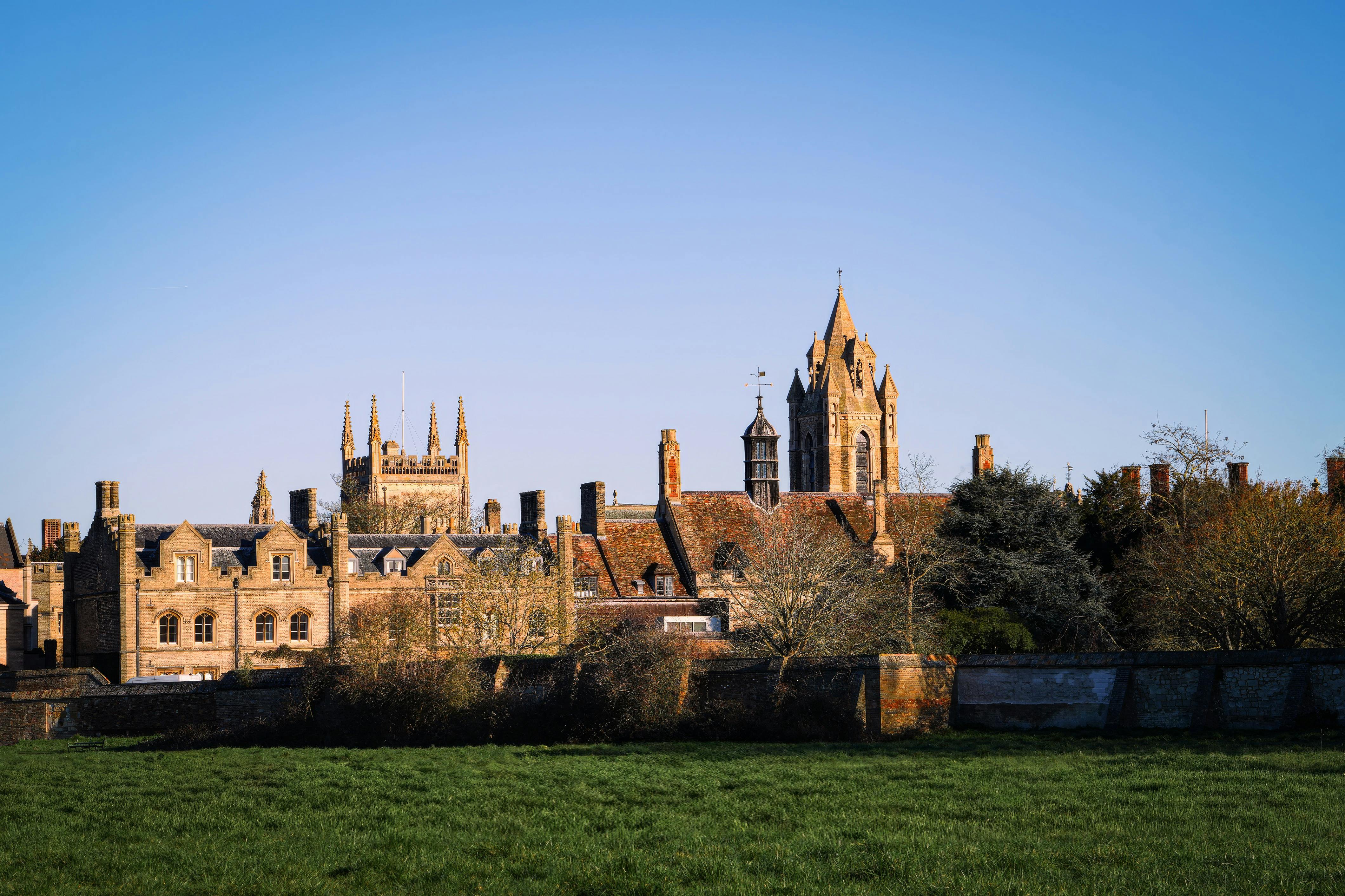 UP Open University opens 28 free online courses — Photo by Cara Denison on Pexels