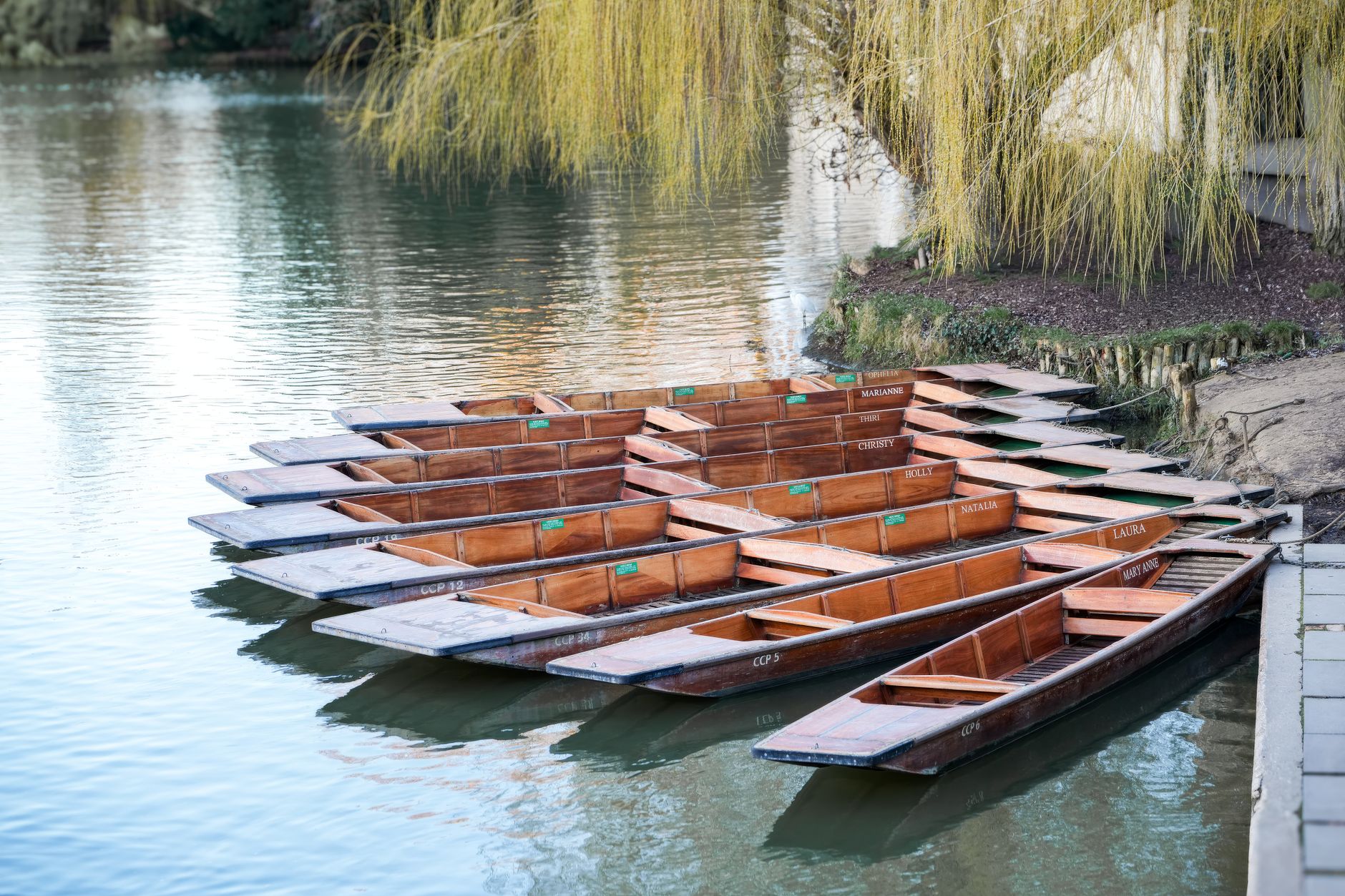Row of wooden punts alongside the River Cam in Cambridge