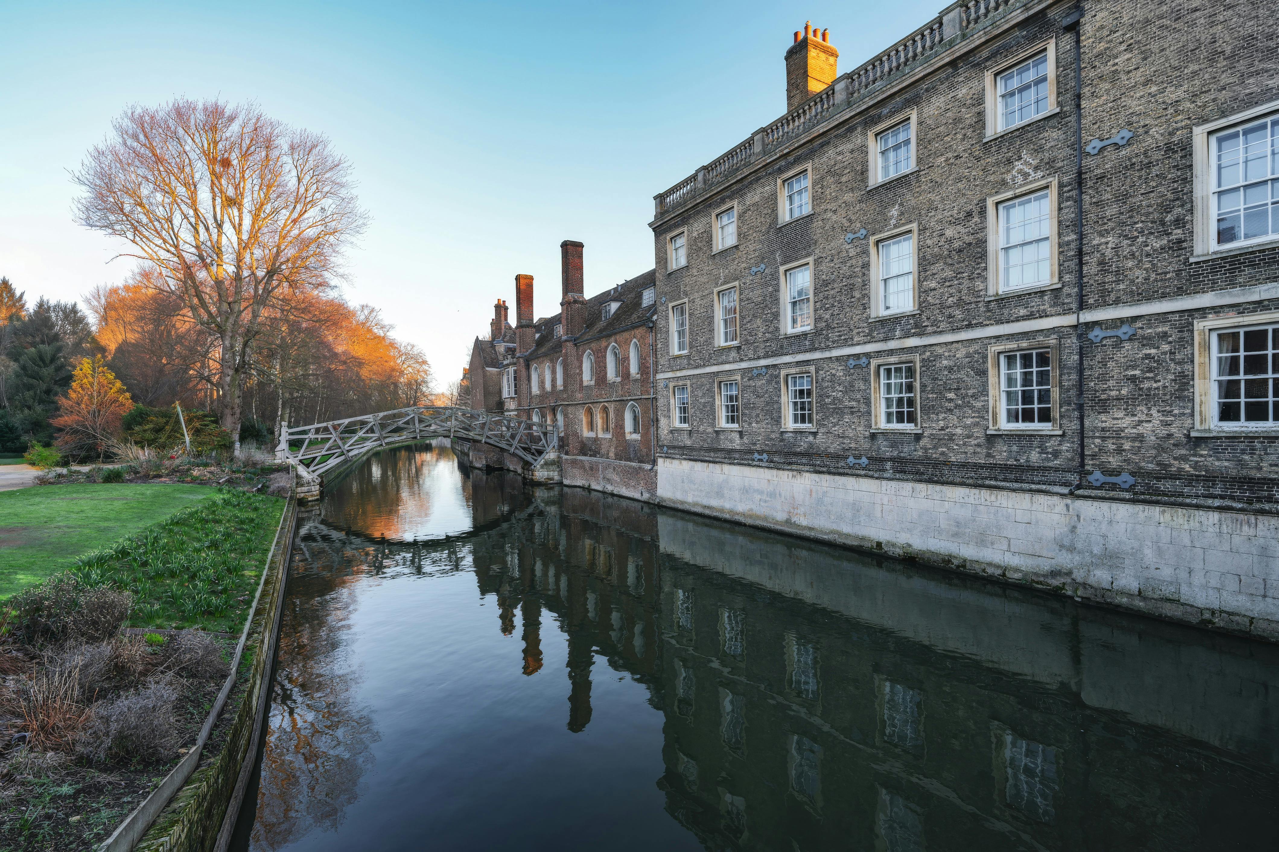 Oxbridge colleges should ‘lose role in admissions’ — Photo by Cara Denison on Pexels