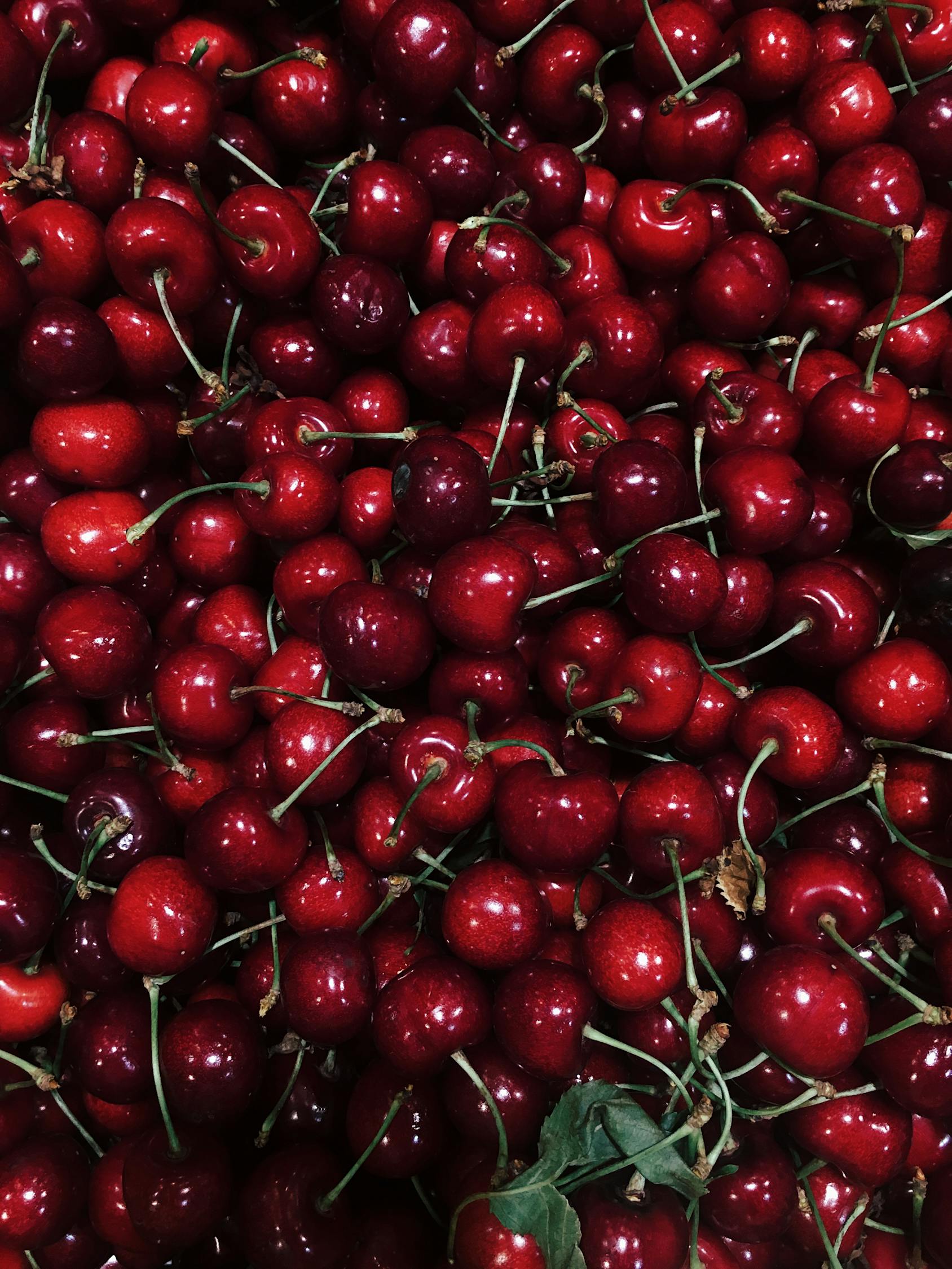 Red Cherries · Free Stock Photo