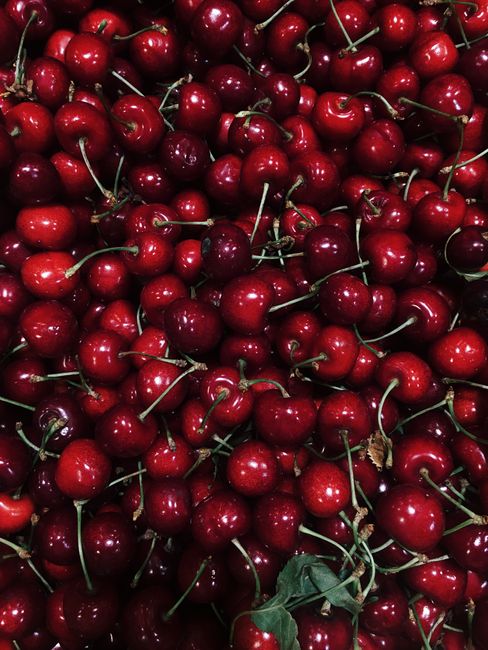A vibrant pile of fresh red cherries showcasing their natural gloss and rich color.