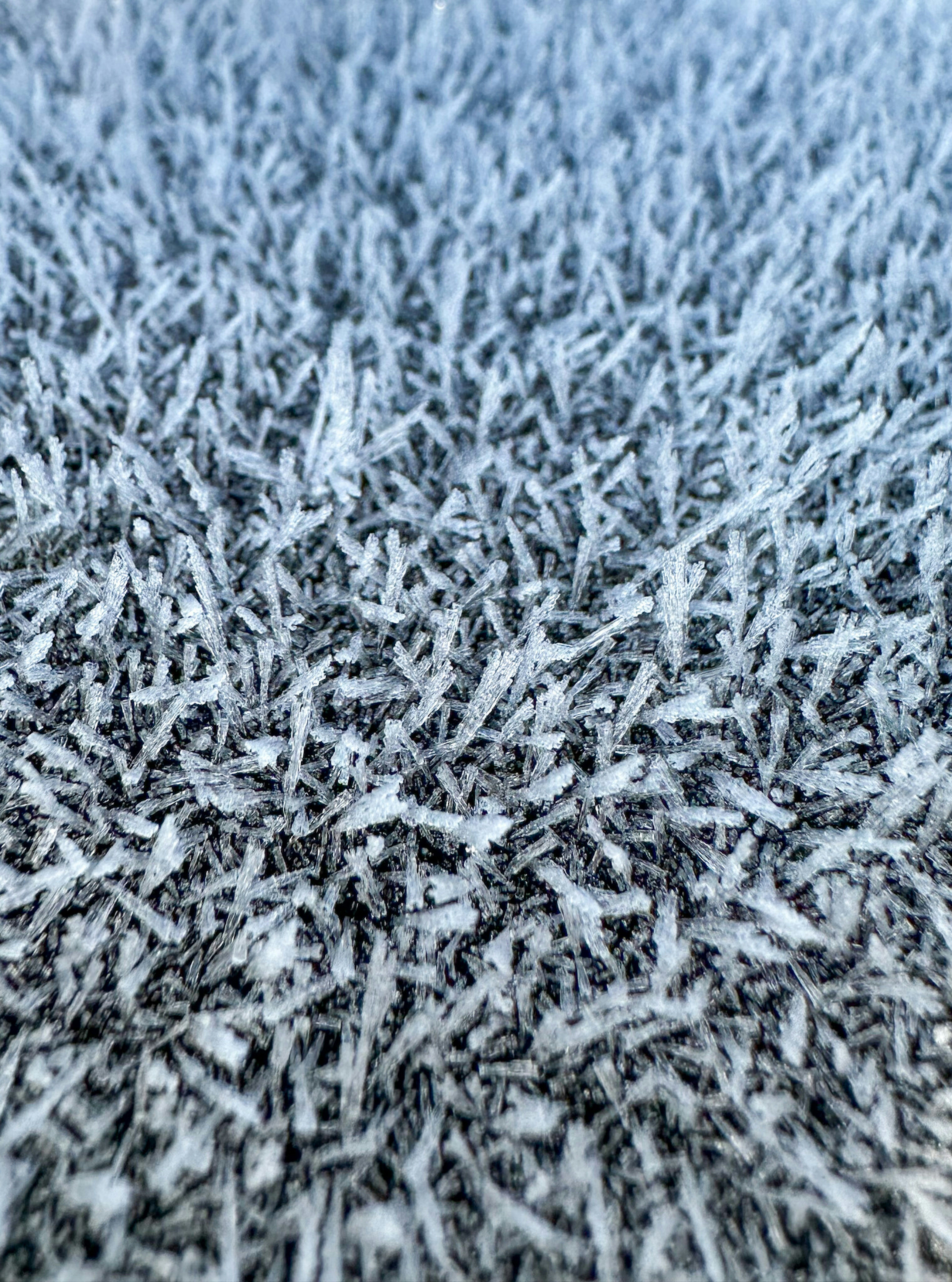 Detailed close-up of frost patterns on a surface, capturing winter's icy textures.