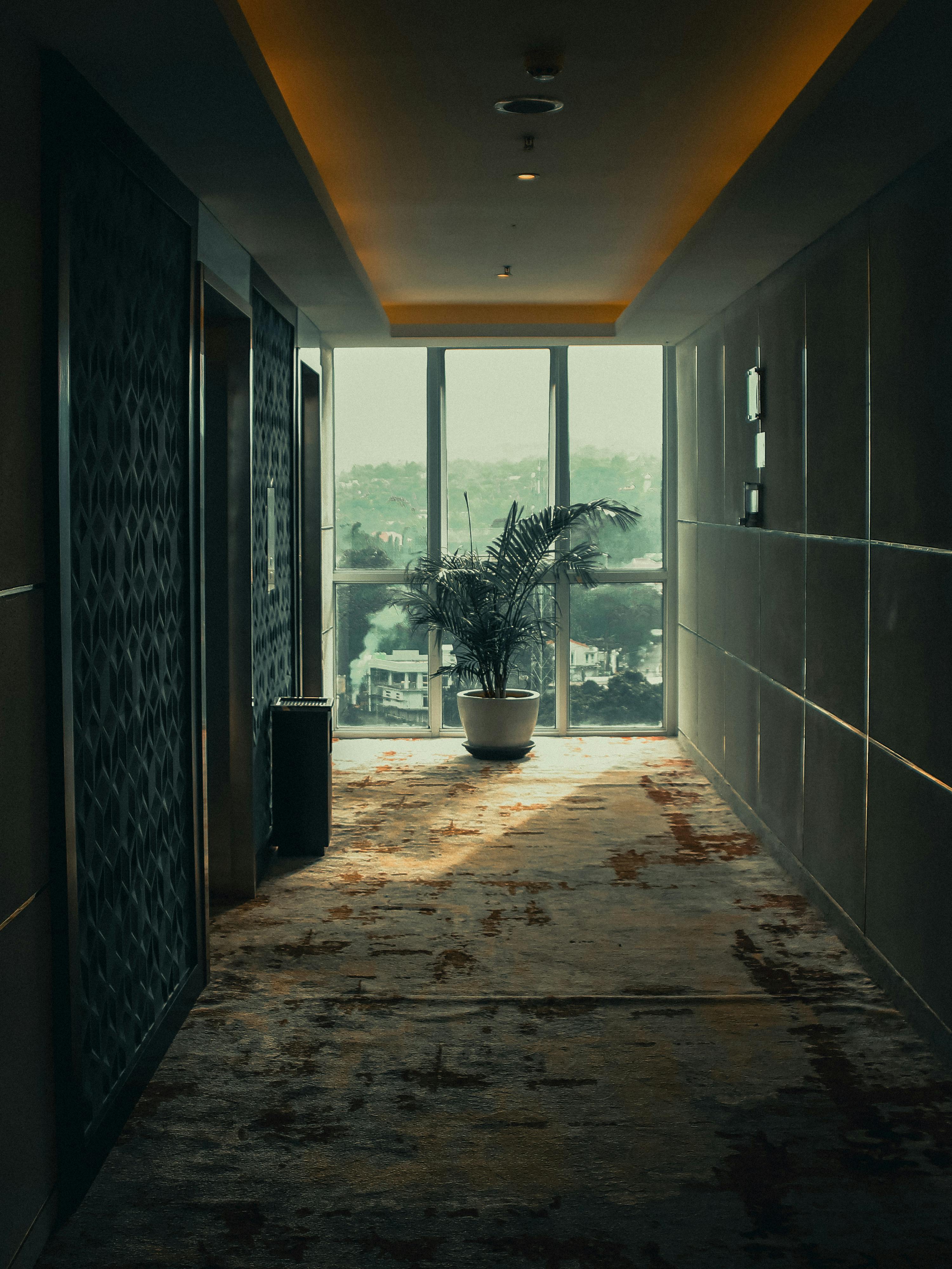 Gratis Un elegante corridoio d'albergo con luci calde e vista sulla città attraverso ampie finestre. Foto a disposizione