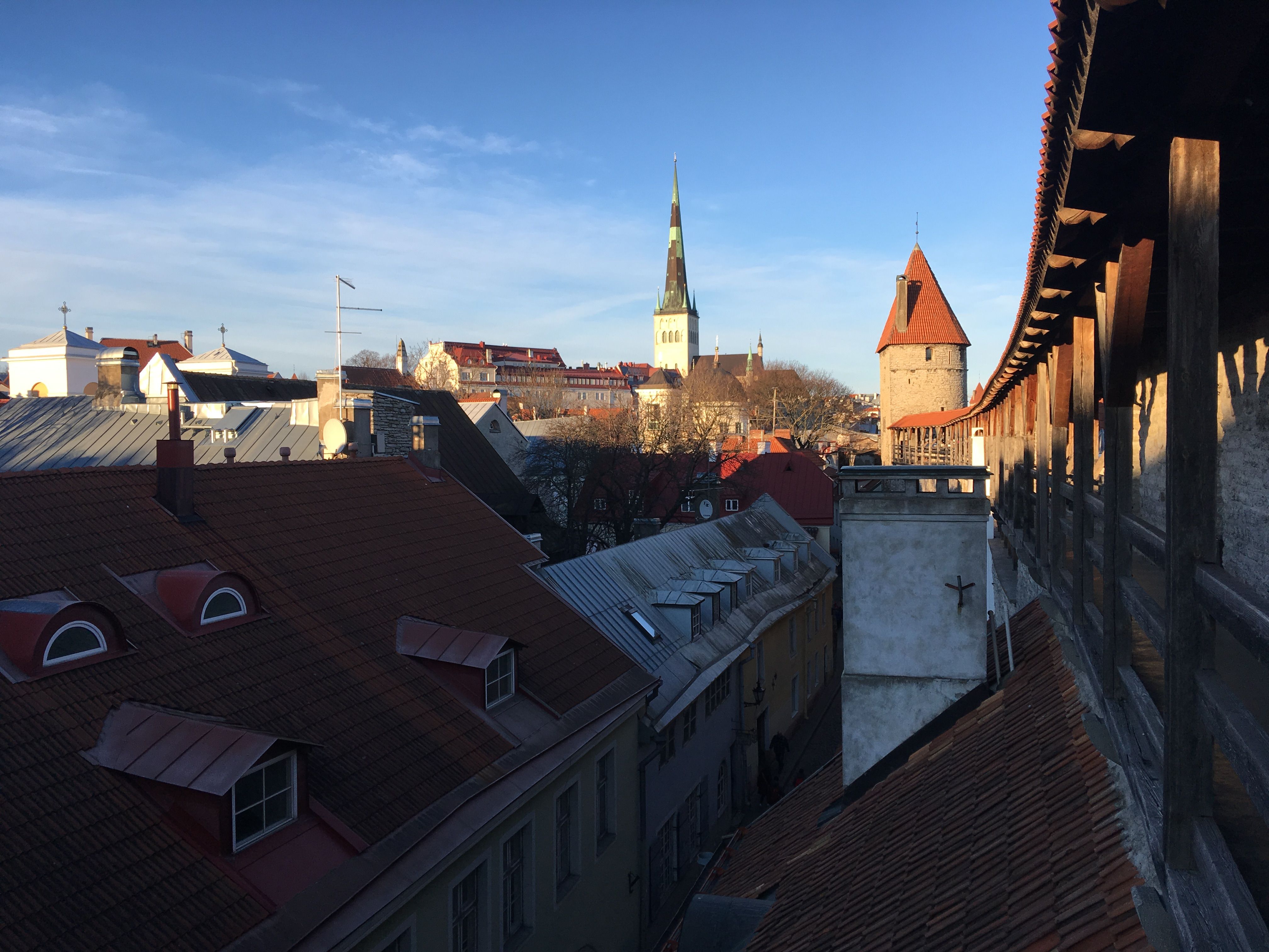 Wooden houses in Kalamaja in low winter sunlight
