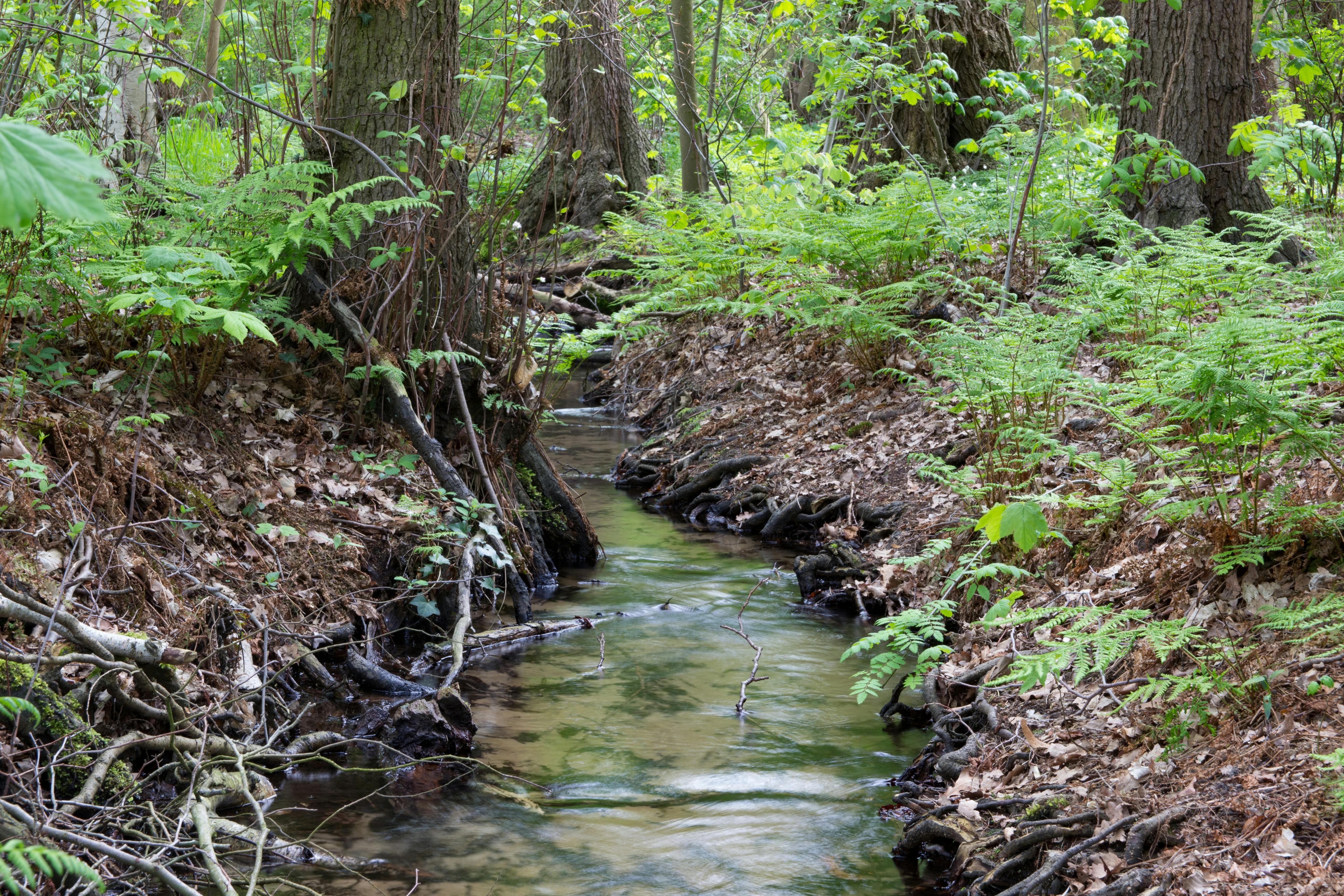科技：對抗揚塵的努力卻面臨挑戰 四河分署啟動植生復育背後的真