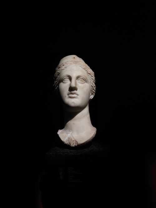 Free A striking marble bust displayed against a dark backdrop, emphasizing classical art. Stock Photo