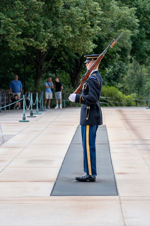 Free A solemn guard stands at Arlington Cemetery, symbolizing honor and respect. Stock Photo