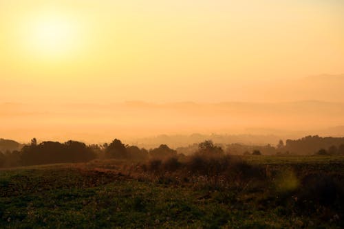 Green Grass Field during Golden Hour