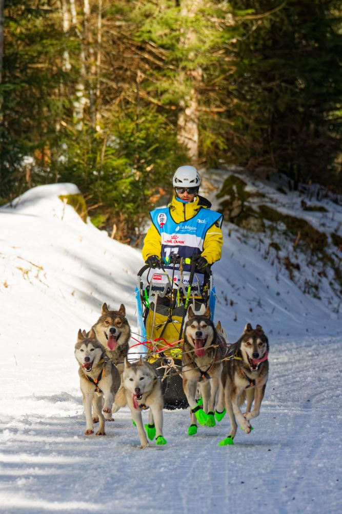 Mushers Path Musher Photos, Download The BEST Free Musher Stock Photos & HD Images