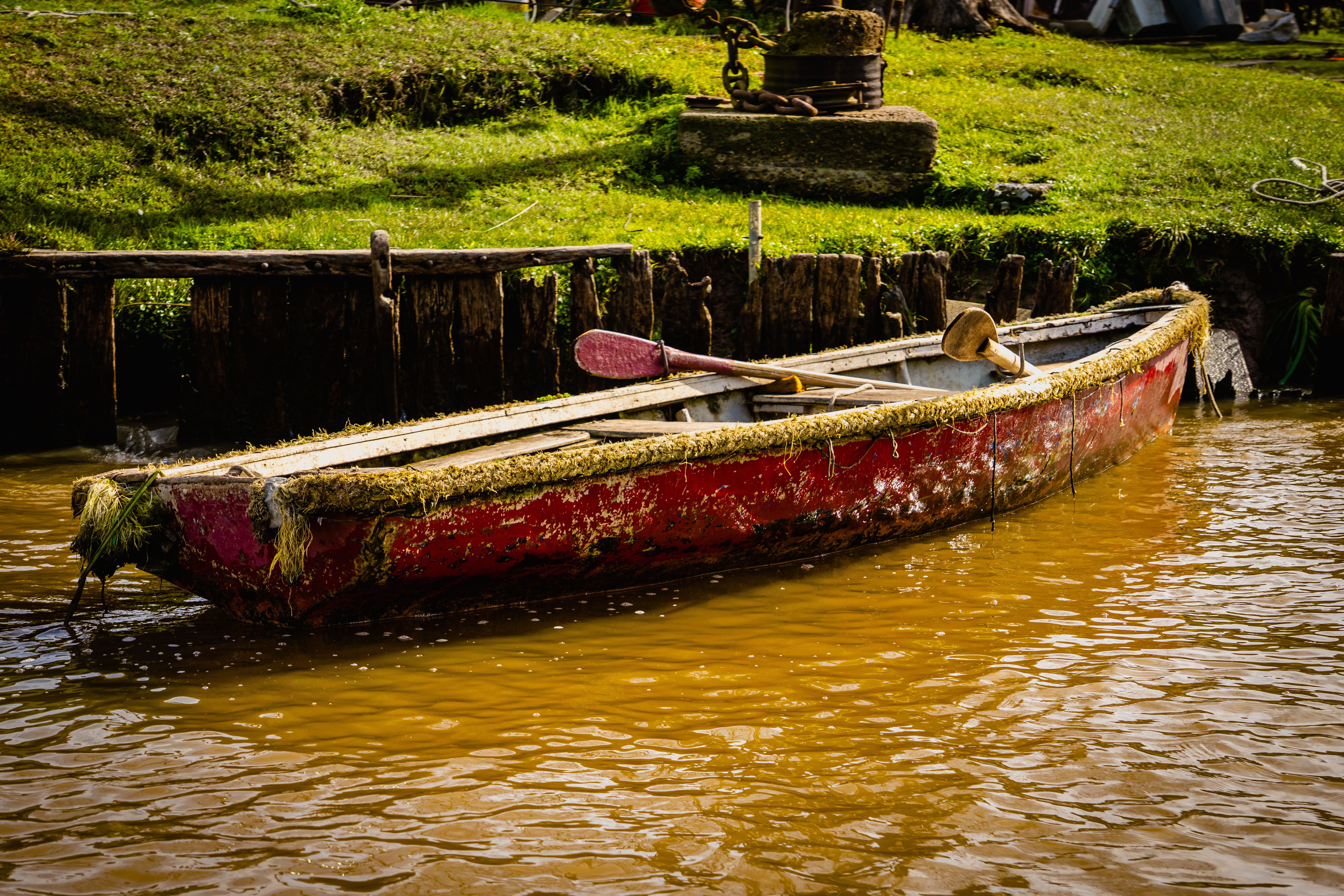 Old Wooden Boat by the Riverbank · Free Stock Photo