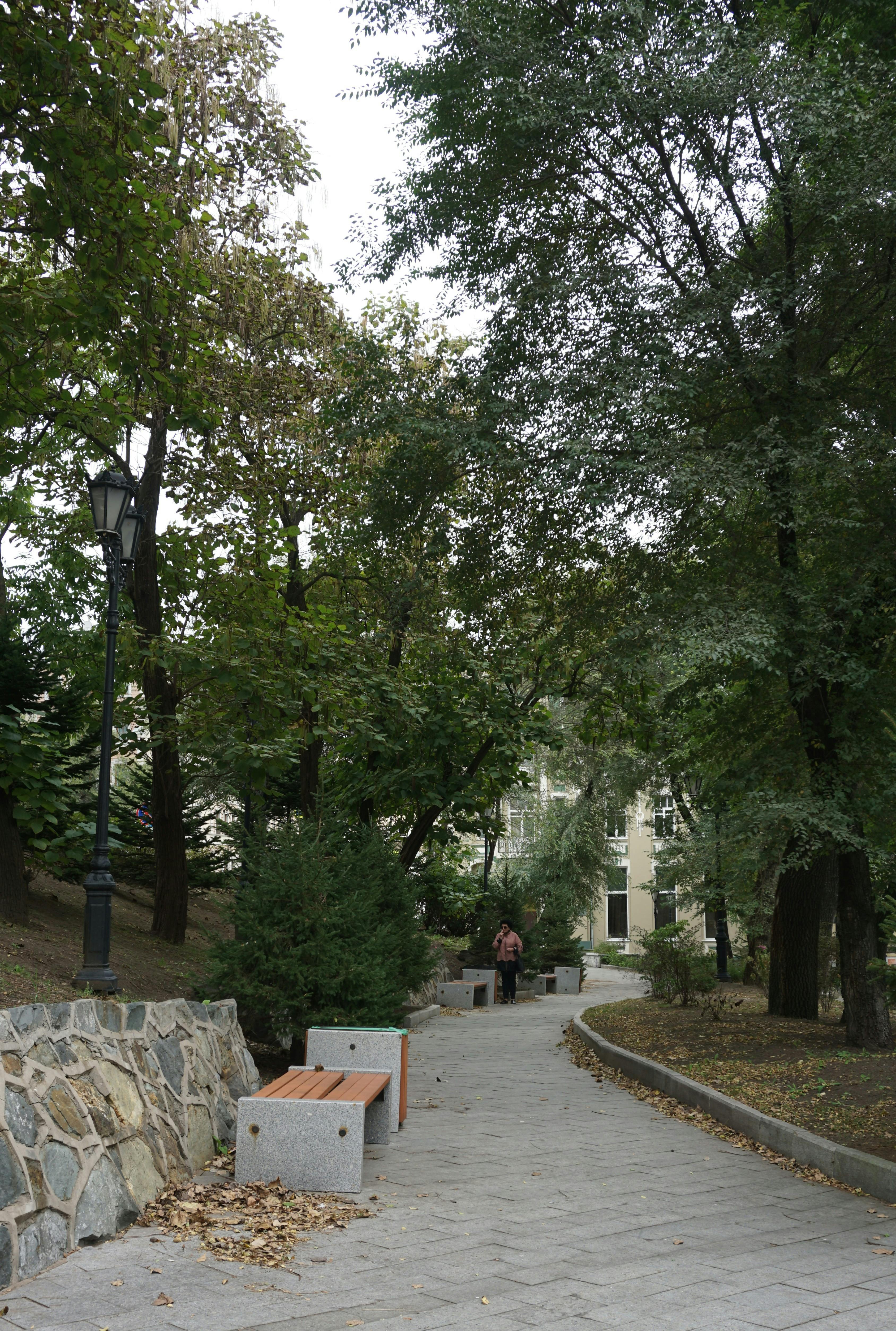 Zadarmo Pokojná parková scenéria so stromami a chodníkom, ideálna na relax. Fotka z fotobanky