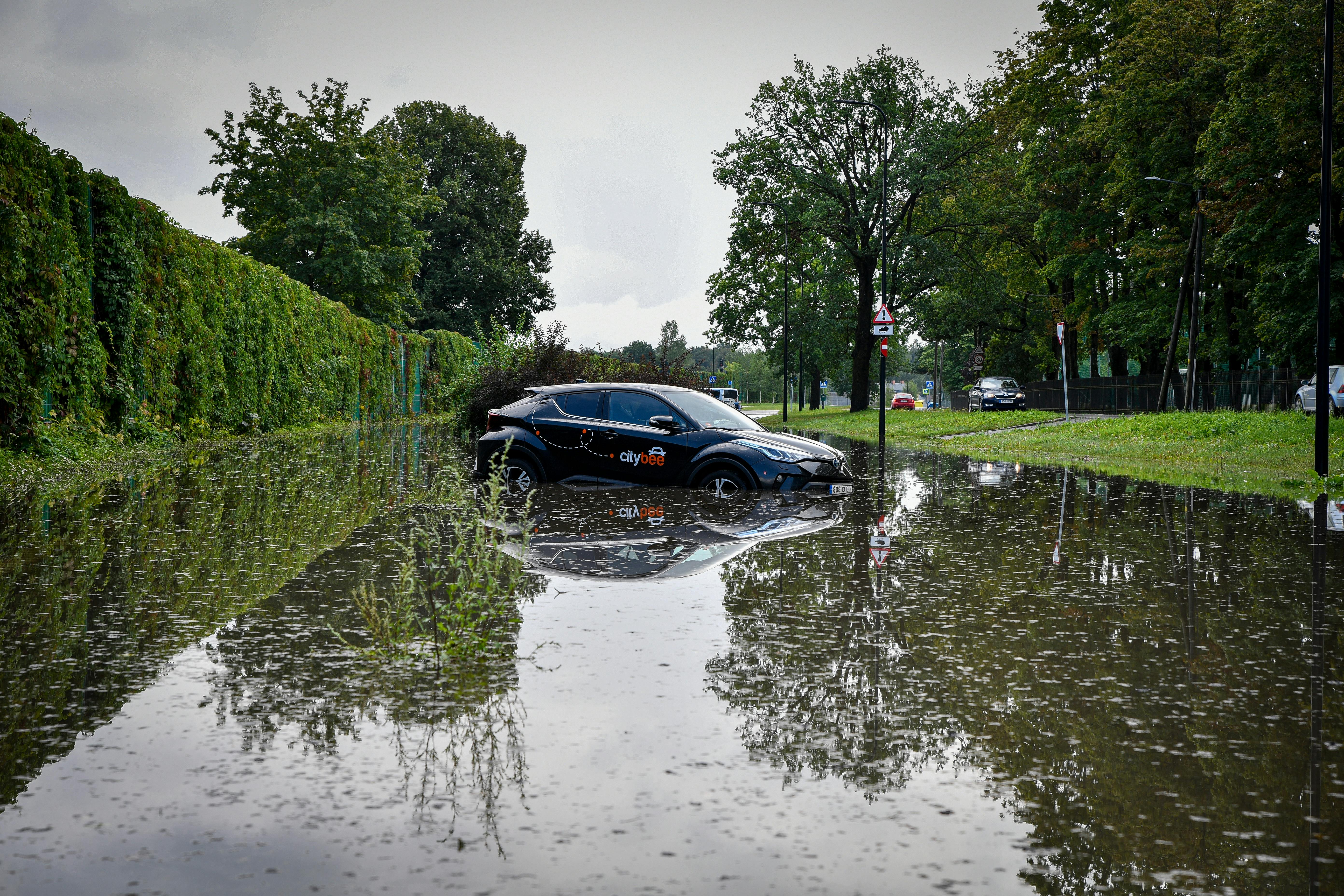 Toyota issues recalls for multiple 2025–2026 models over safety risks — Photo by Margo Evardson on Pexels