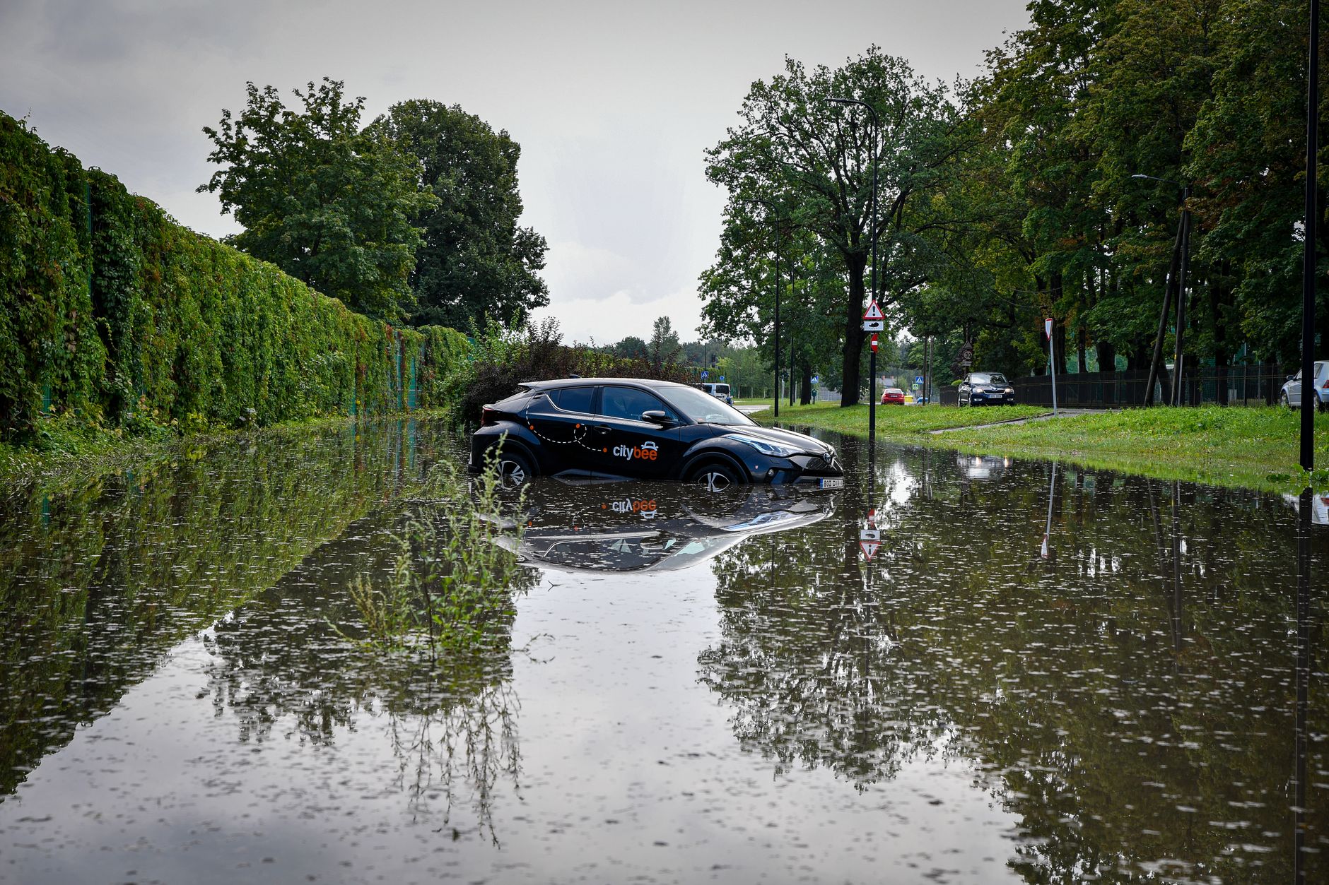 Constatarea daunelor auto după furtună