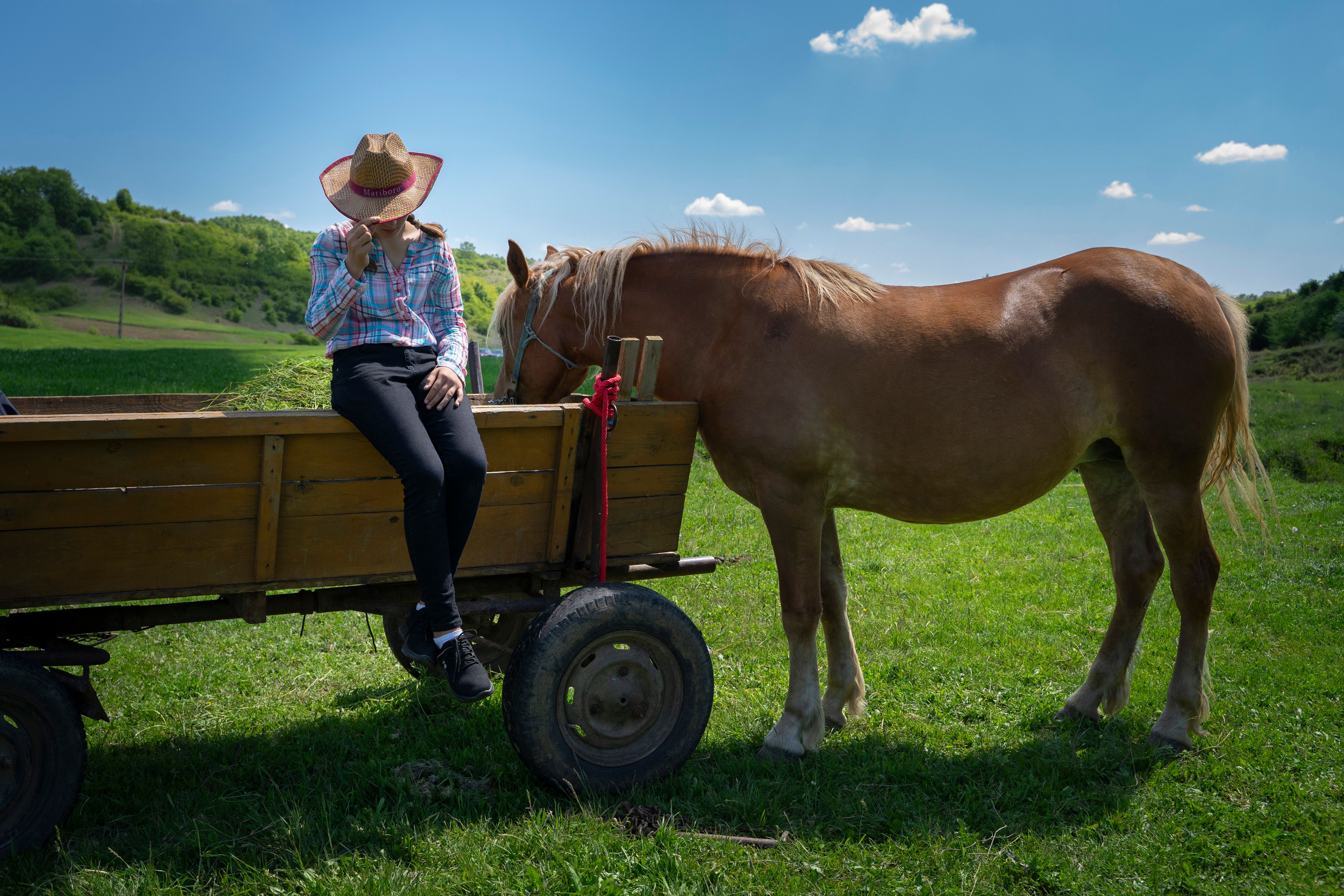 A woman in a cowboy hat sitting on a wooden cart next to a horse in a sunny field.
