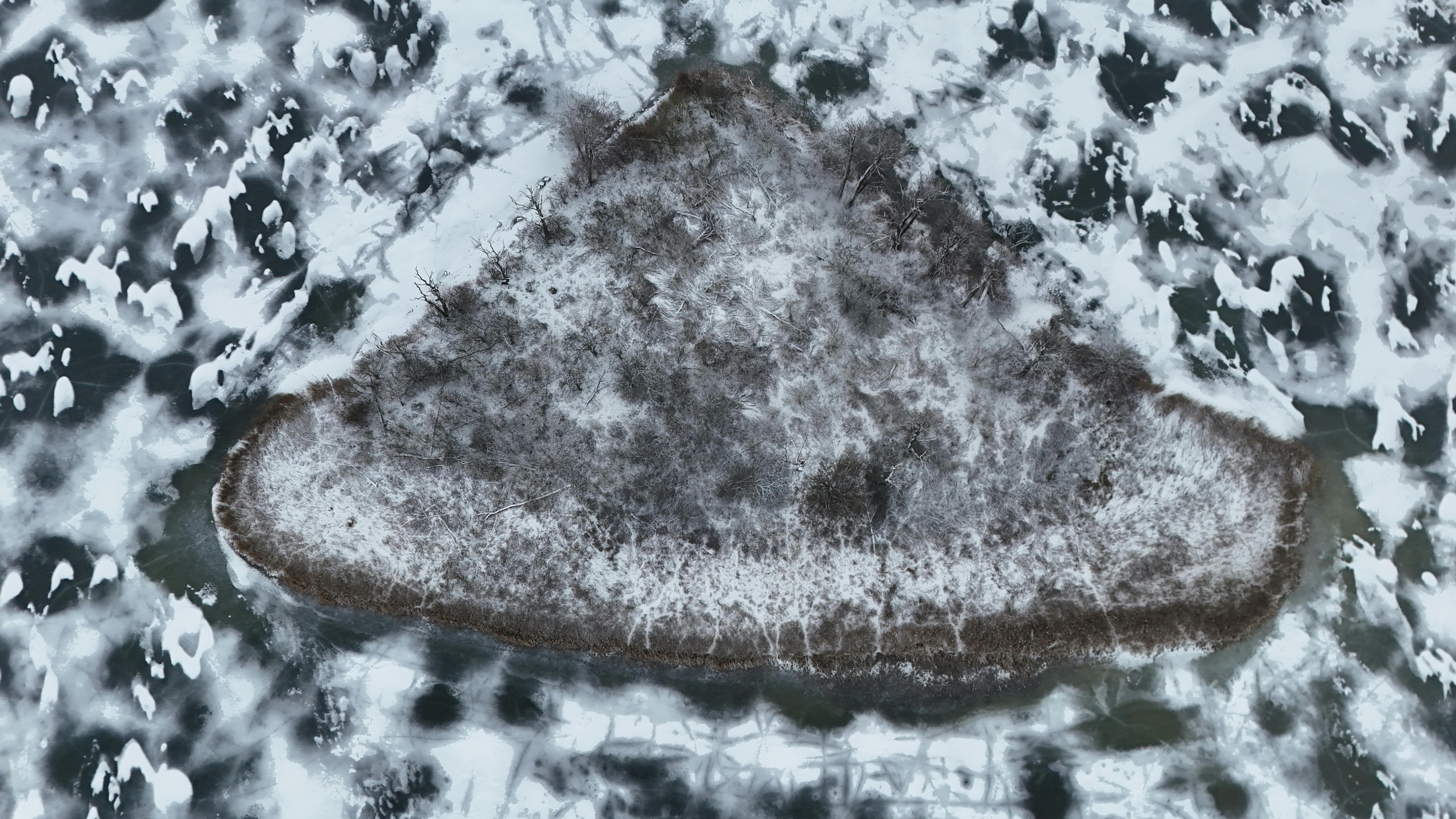 Ücretsiz açık hava, ada, ağaçlar içeren Ücretsiz stok fotoğraf Stok Fotoğraflar