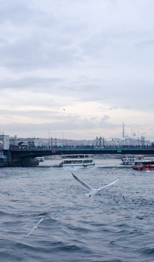 Free A picturesque view of the Bosphorus in Istanbul with boats, Galata Bridge, and flying seagulls under a cloudy sky. Stock Photo